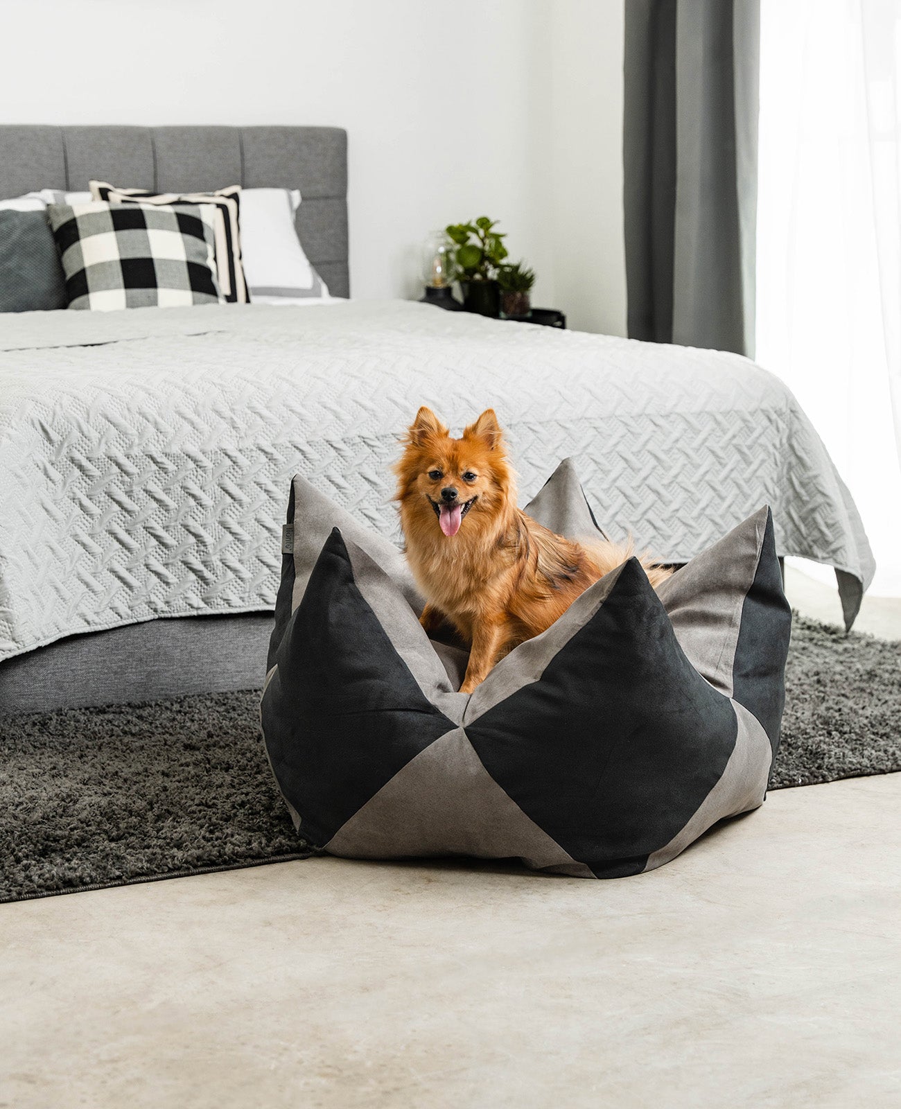 Oreiller couronne pour chiens