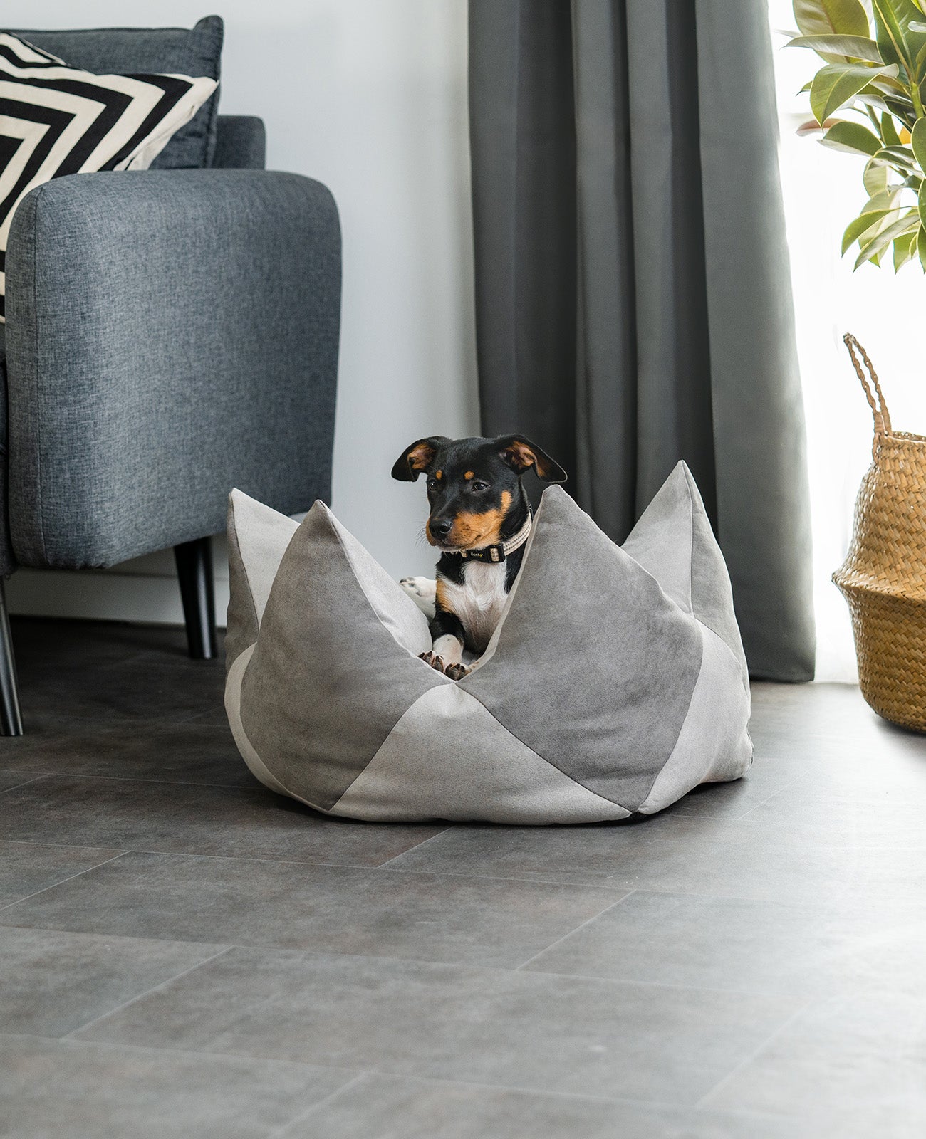 Oreiller couronne pour chiens