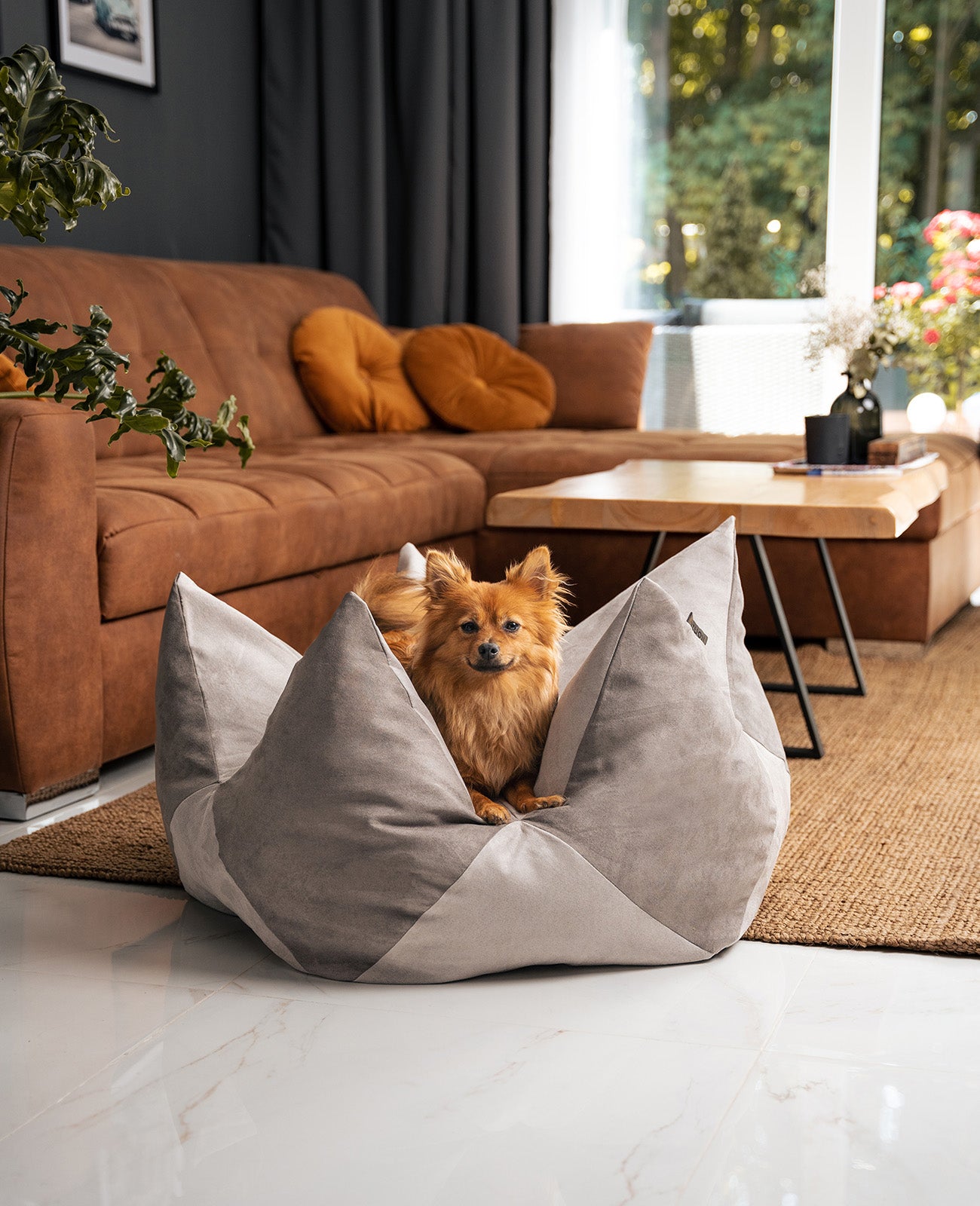 lionto Coussin Crown Coussin Star Lit pour chien, différentes versions