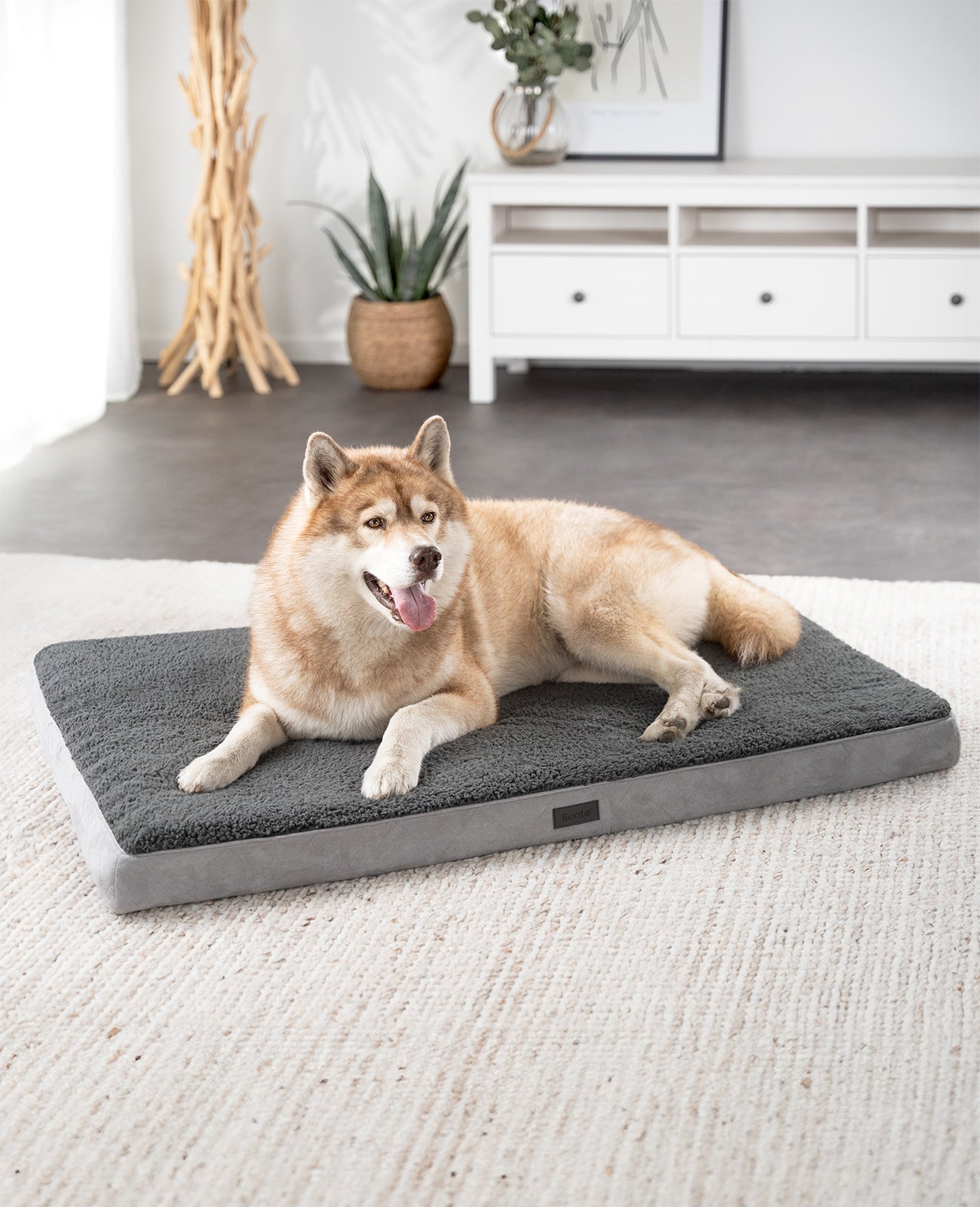 Lit orthopédique pour chien avec peluche