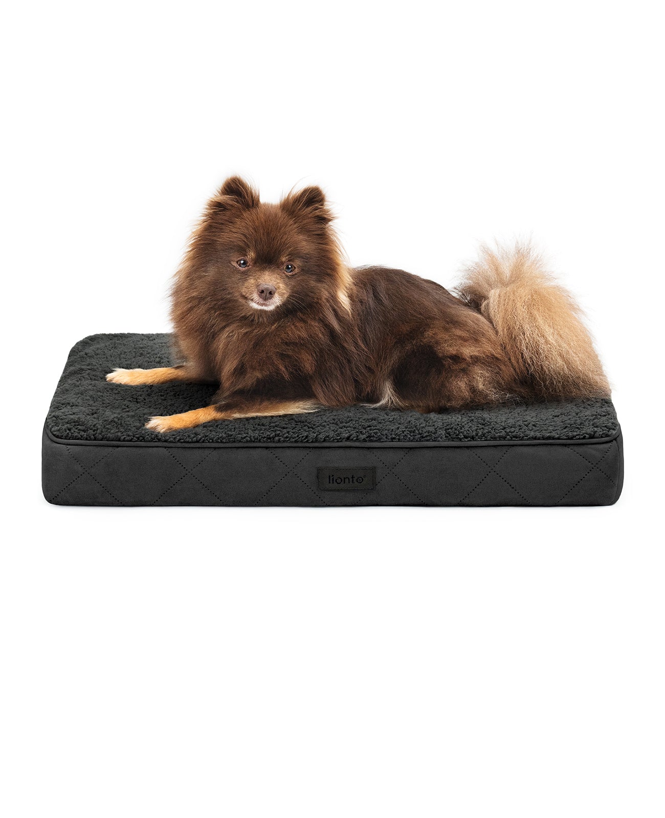 lionto Lit orthopédique pour chien & chats, avec peluche douce, divers modèles