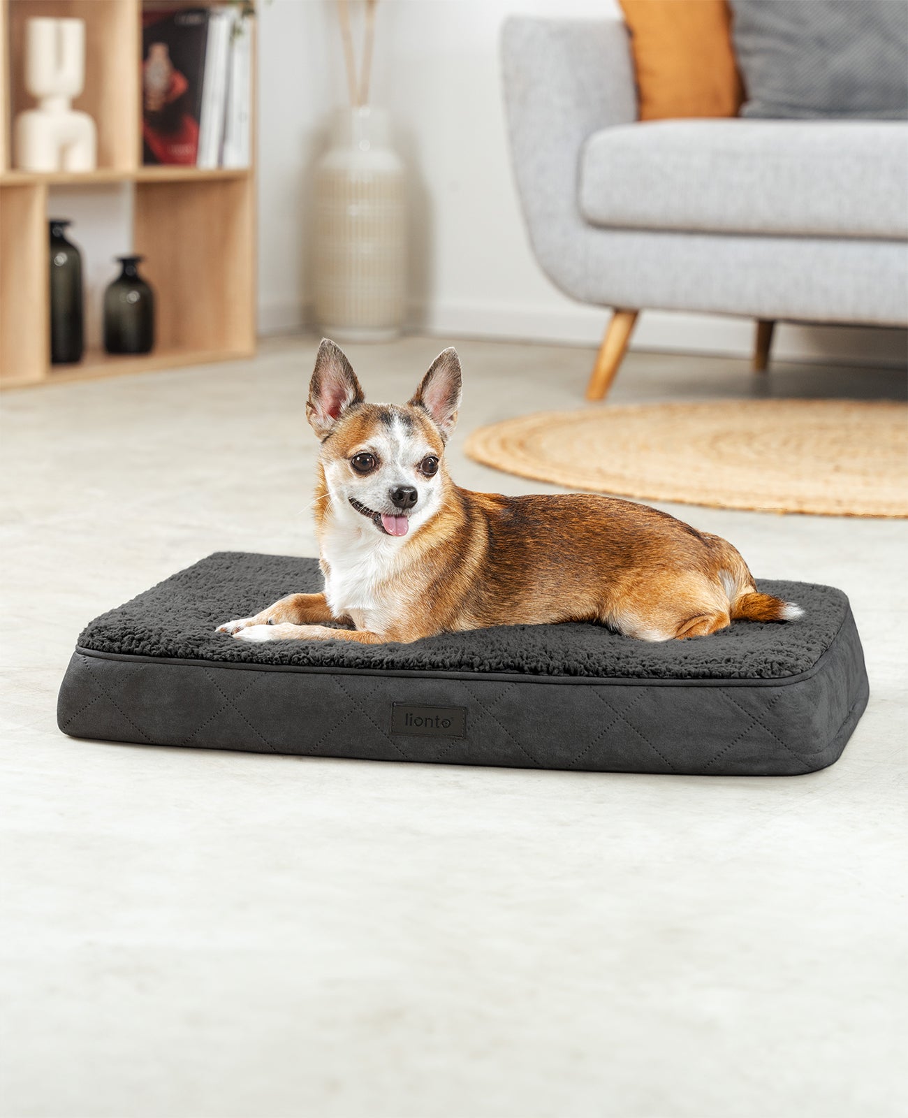 Lit orthopédique pour chien avec peluche