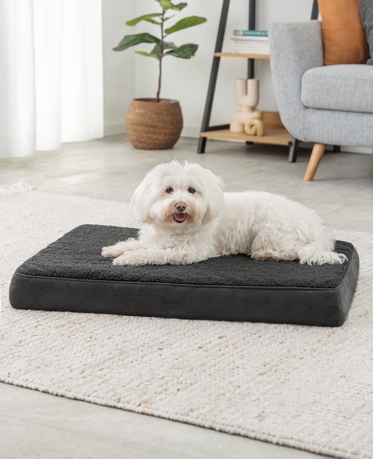Lit orthopédique pour chien avec peluche