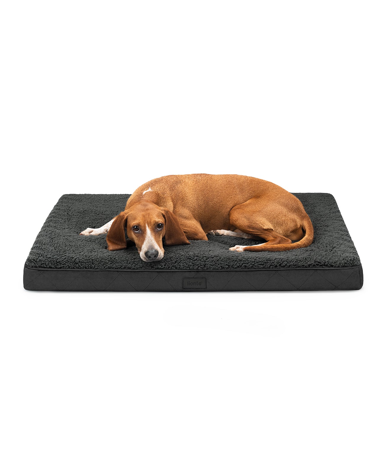 lionto Lit orthopédique pour chien & chats, avec peluche douce, divers modèles