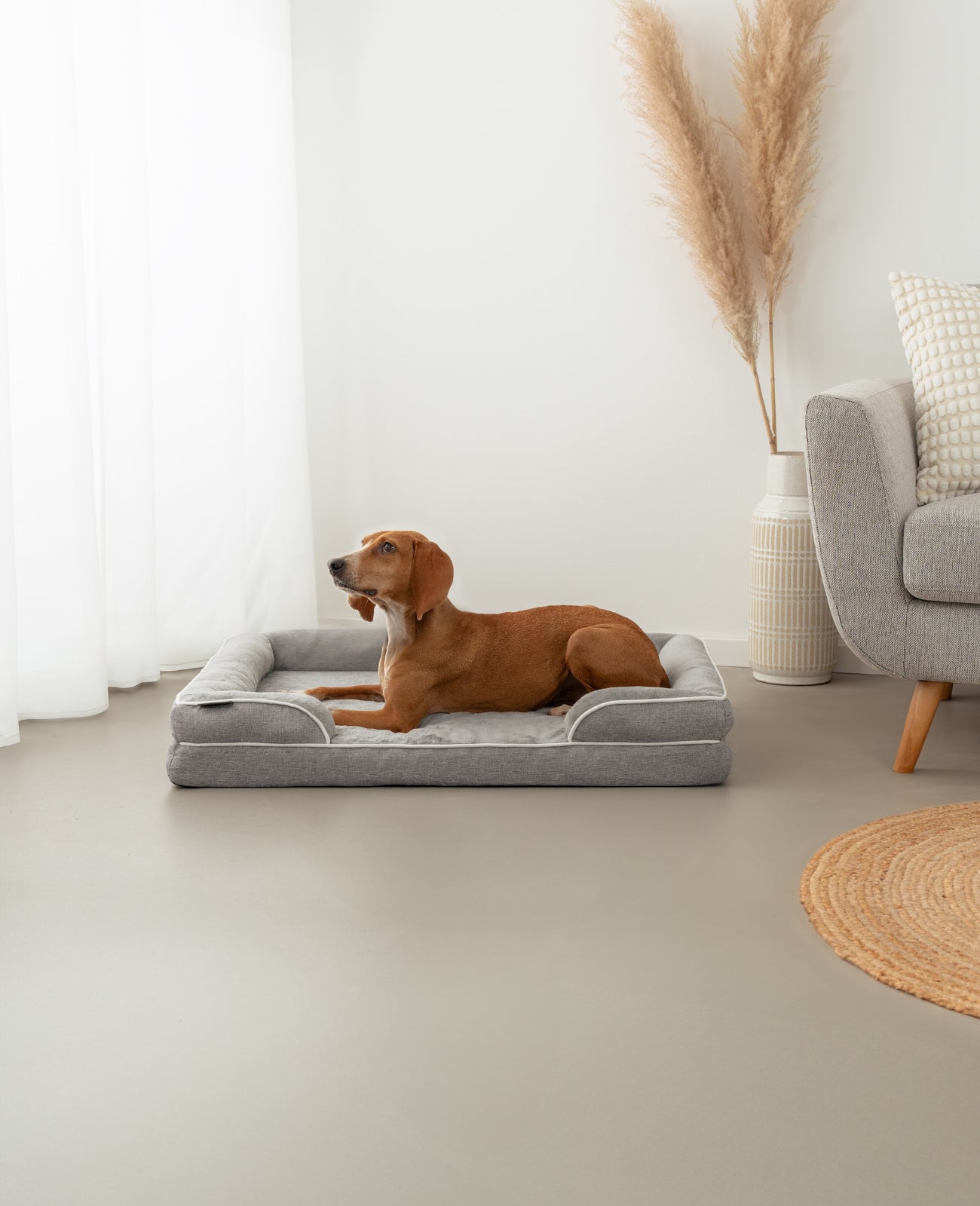 lionto Lit orthopédique pour chien, bordure surélevée, antidérapant