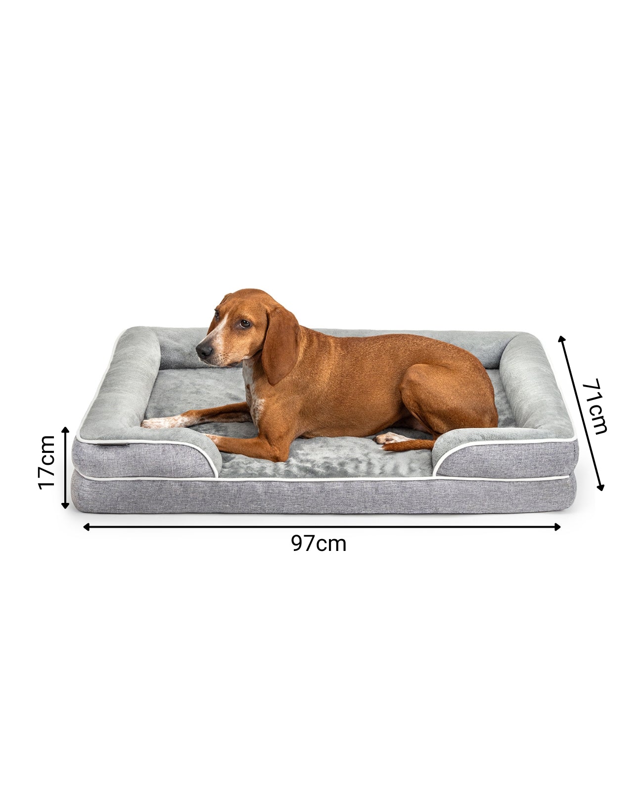 lionto Lit orthopédique pour chien, bordure surélevée, antidérapant