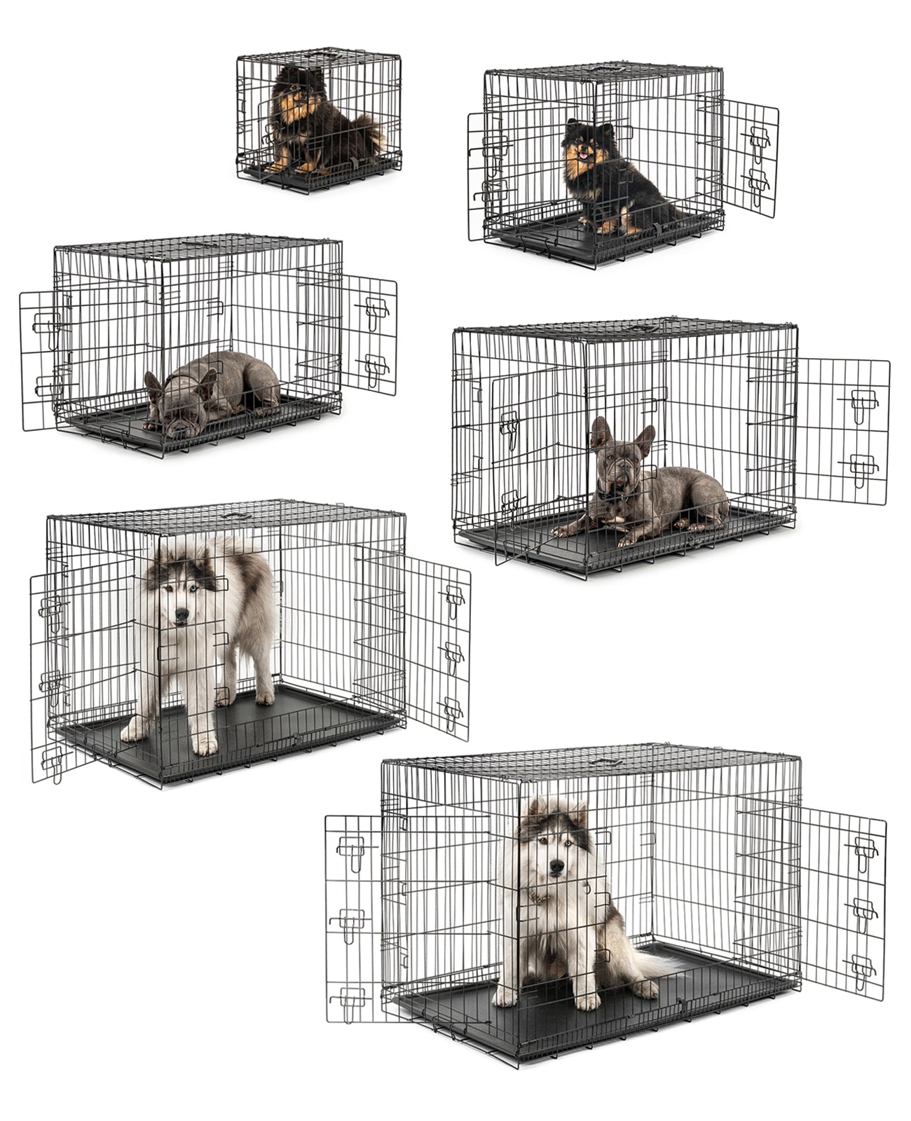 Cage de transport pour chien avec plateau de base