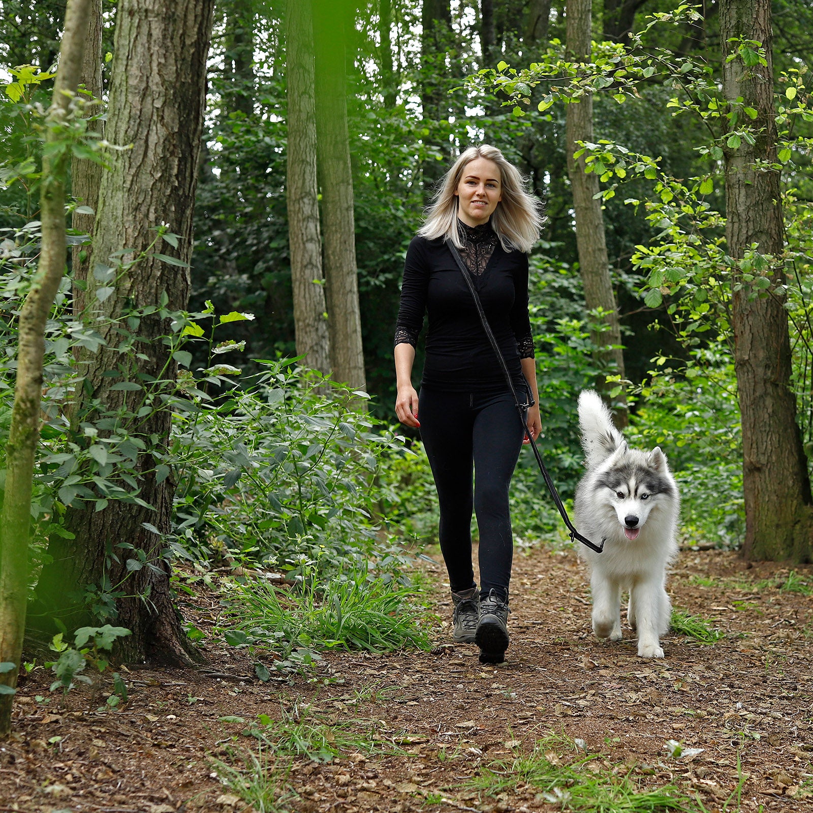 Frau geht mit Husky an reflektierender Hundeleine im Wald spazieren