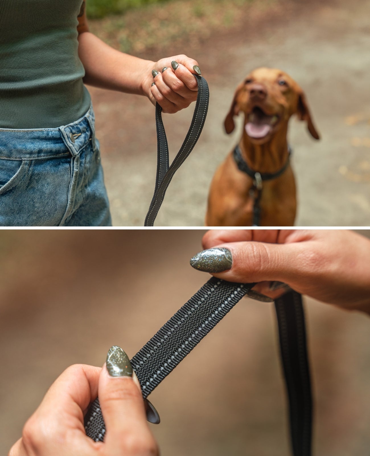 lionto Laisse pour chiens, réflective, 360° mousqueton métallique, 2 longueur