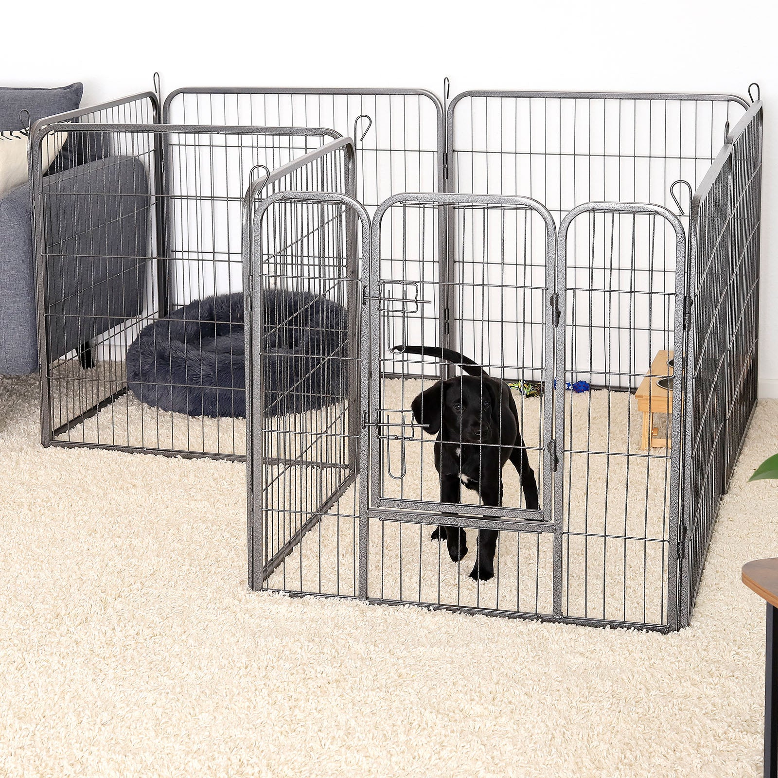 Enclos extérieur en métal pour chiots