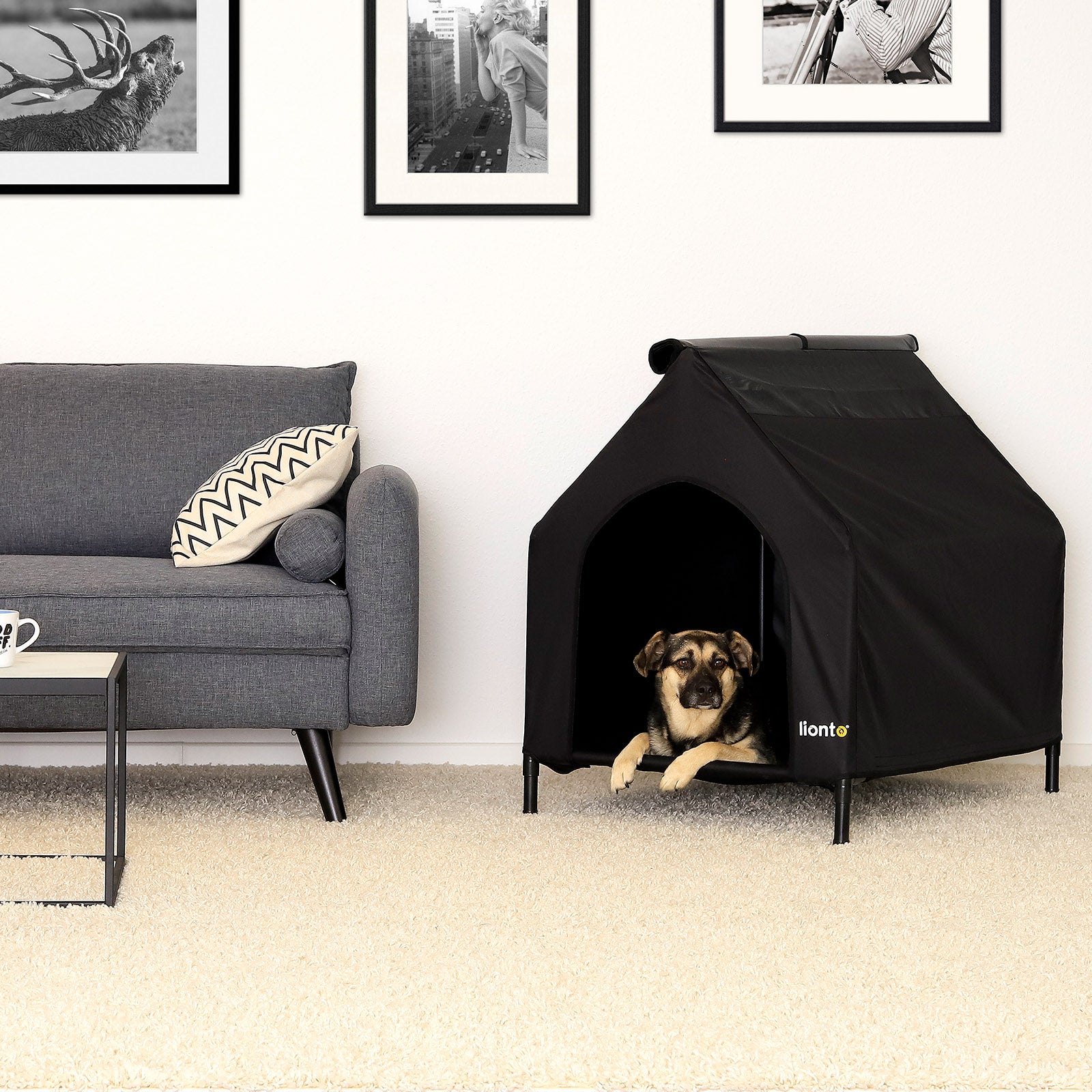 Lit couvert chien niche surélevée lit chien avec toit noir plusieurs tailles