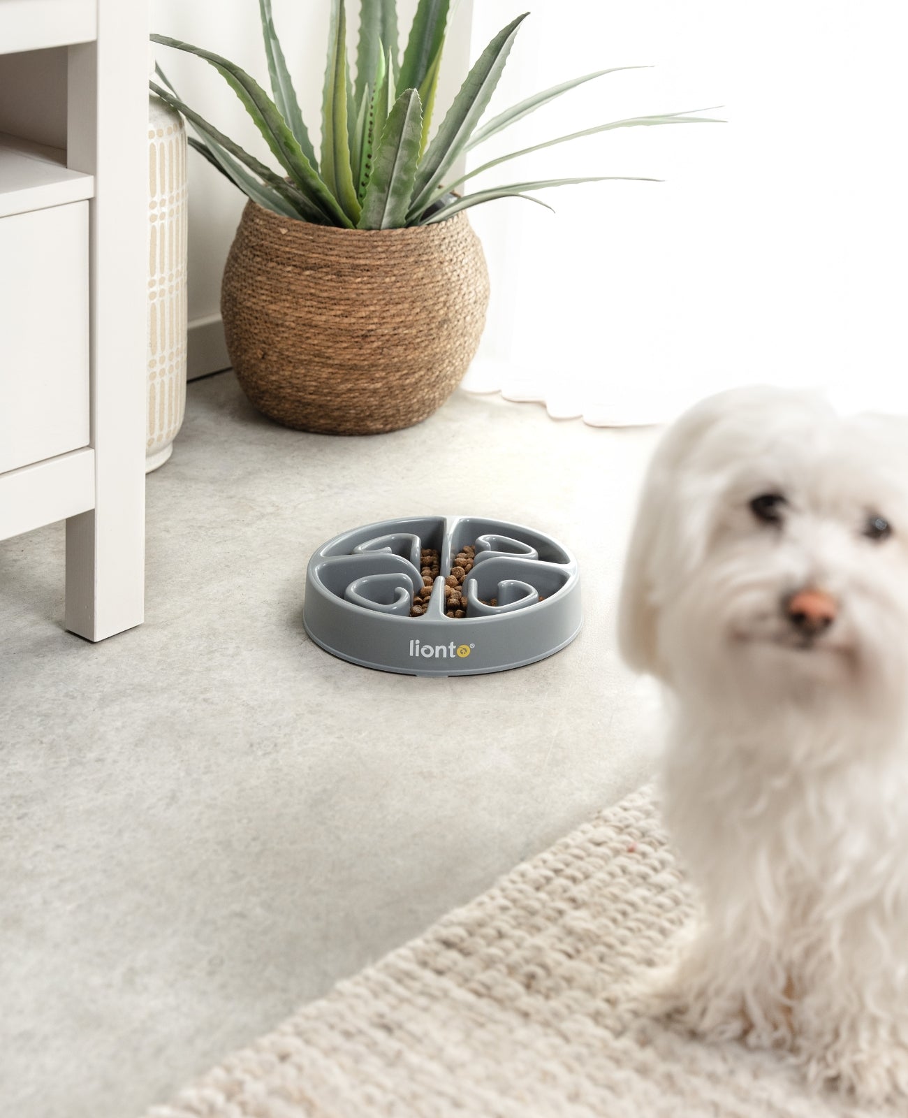 Bol anti-écharpe antidérapant