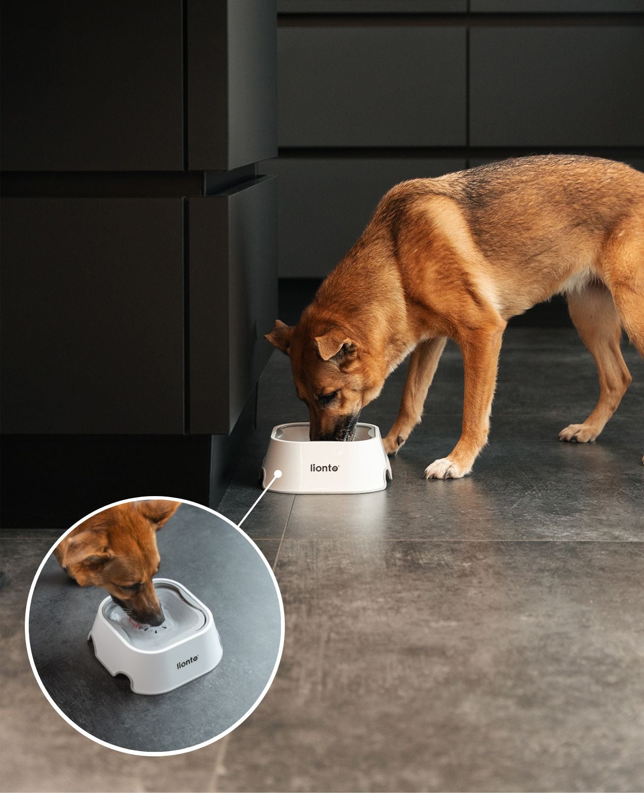 Bol anti-bave, 1 litre