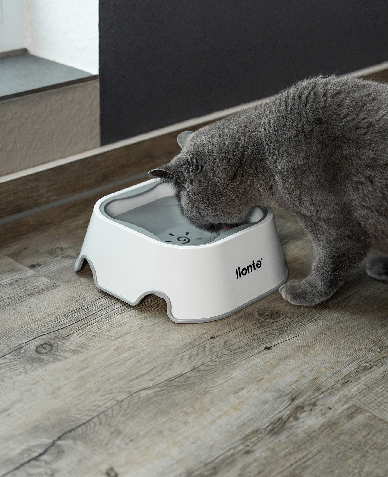 Bol anti-bave, 1 litre