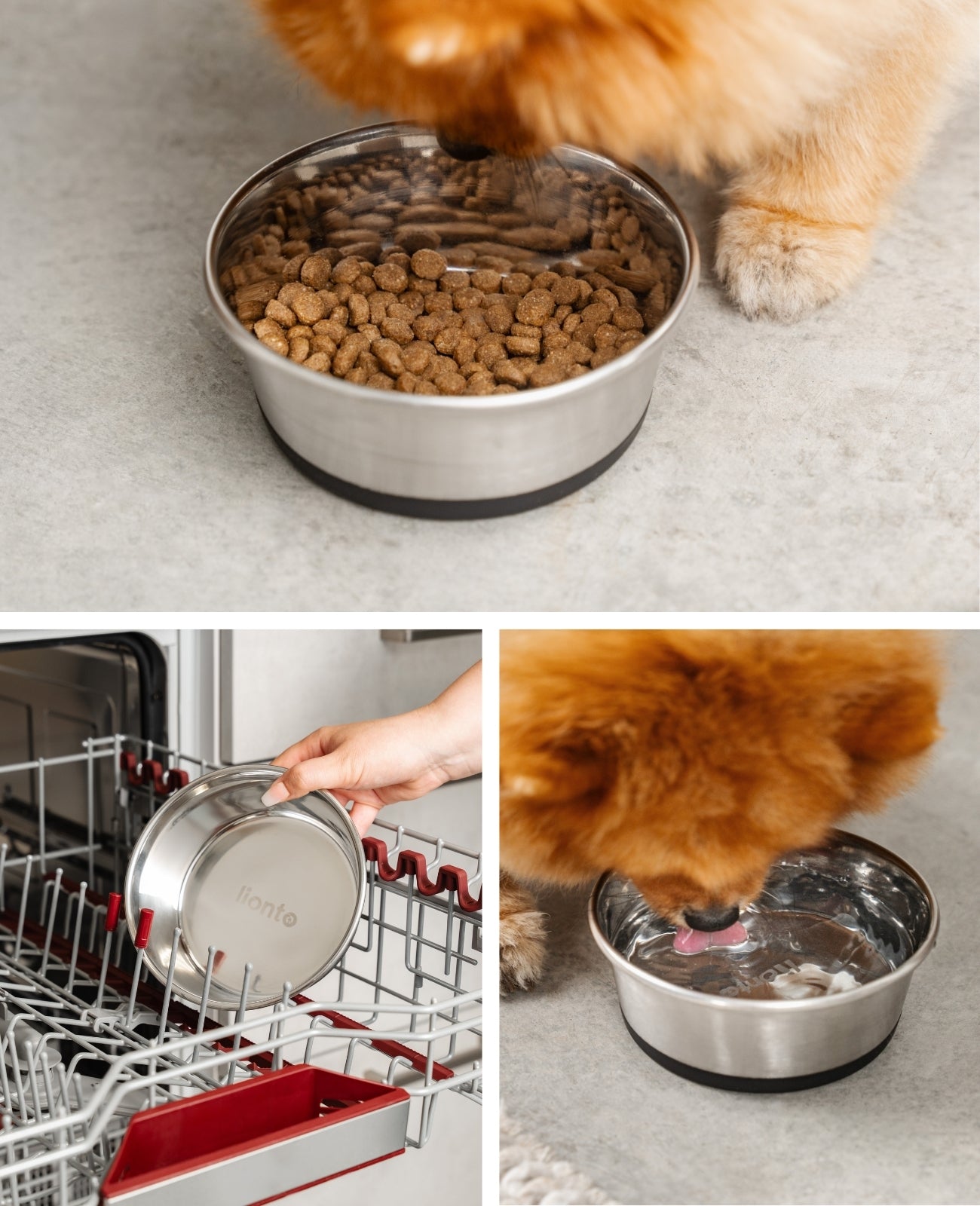 lionto Gamelle en inox, antidérapante, Bol à eau pour chien & chat