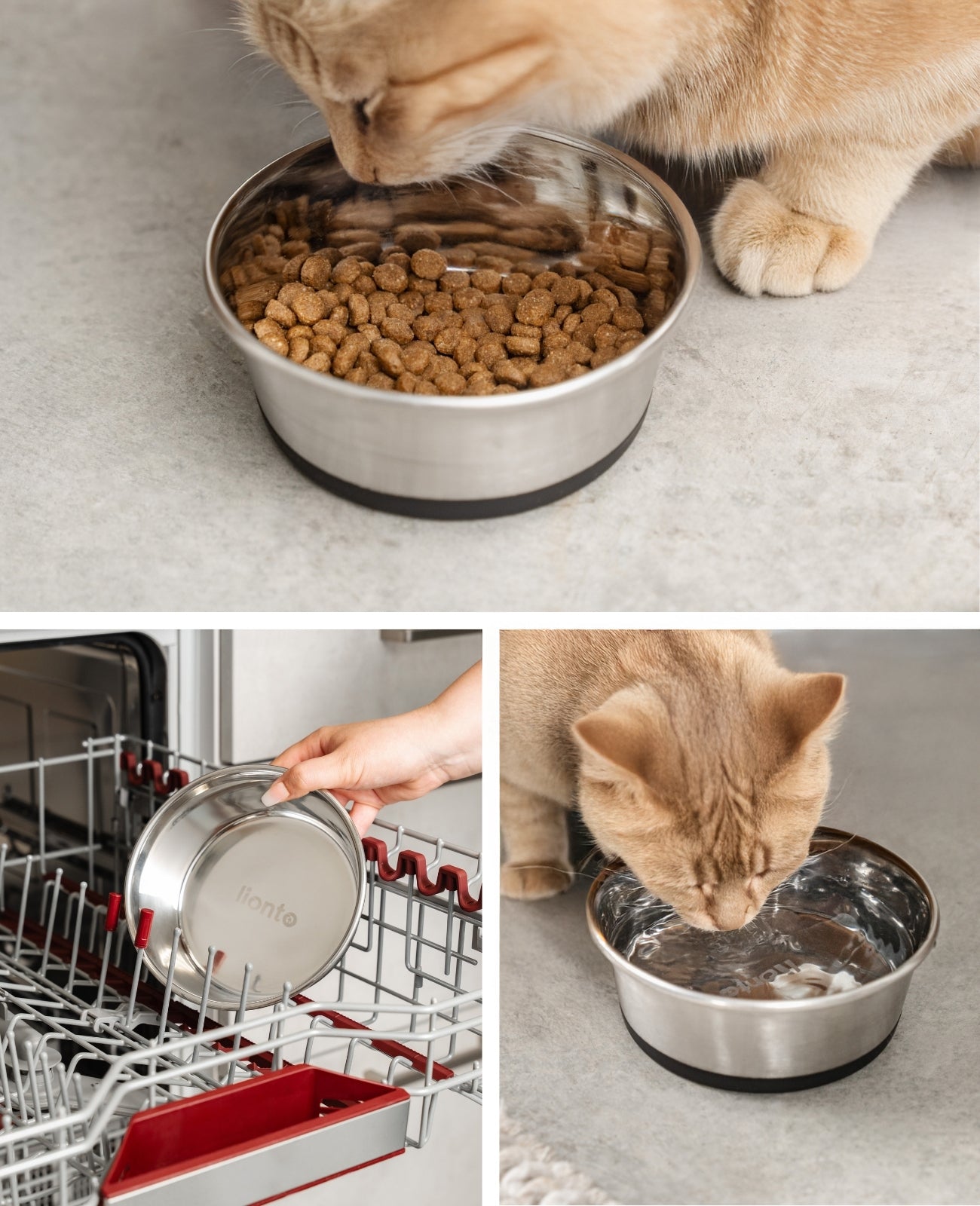 Gamelle pour chat en acier inoxydable, antidérapante