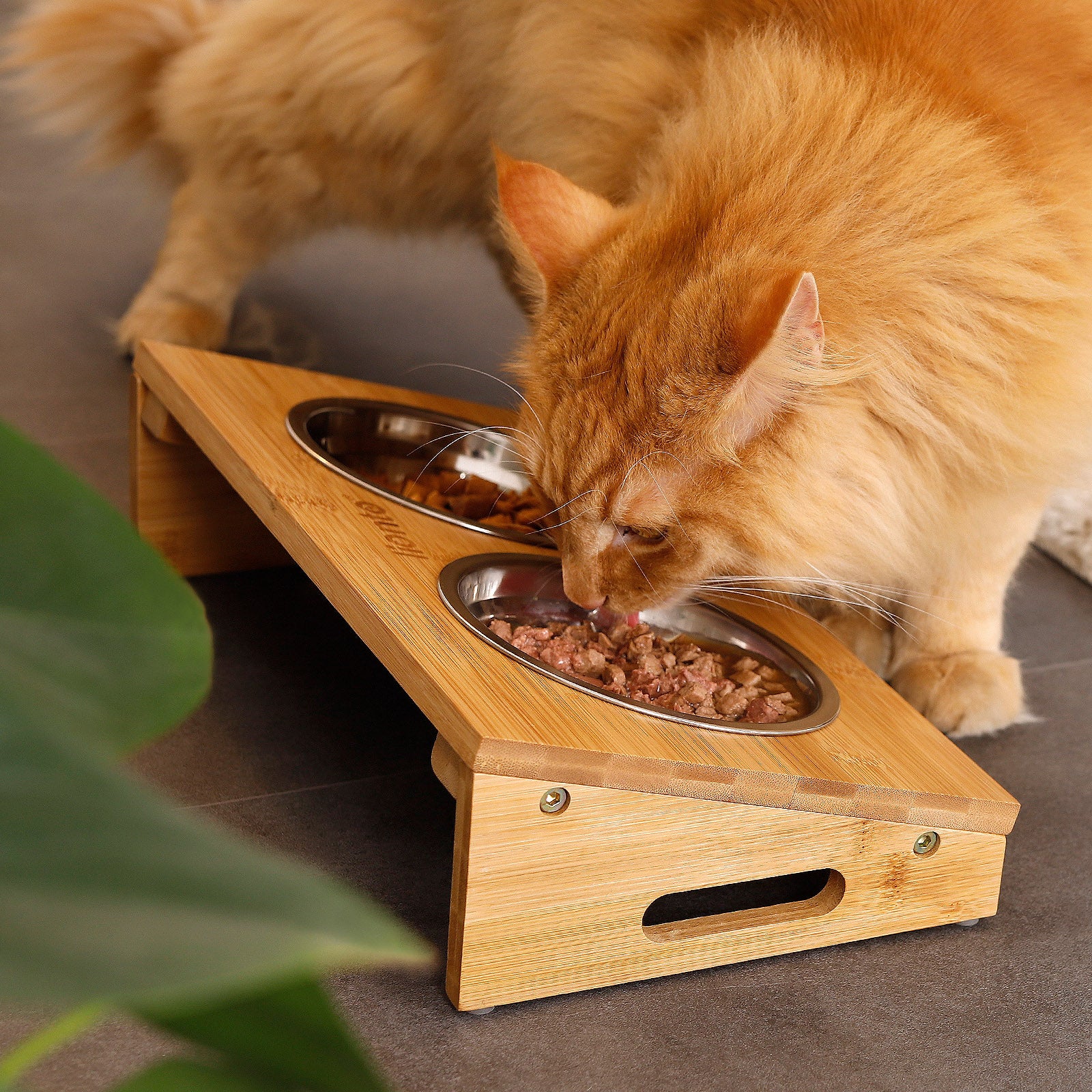 Gamelle surélevée pour chat avec cadre en bambou