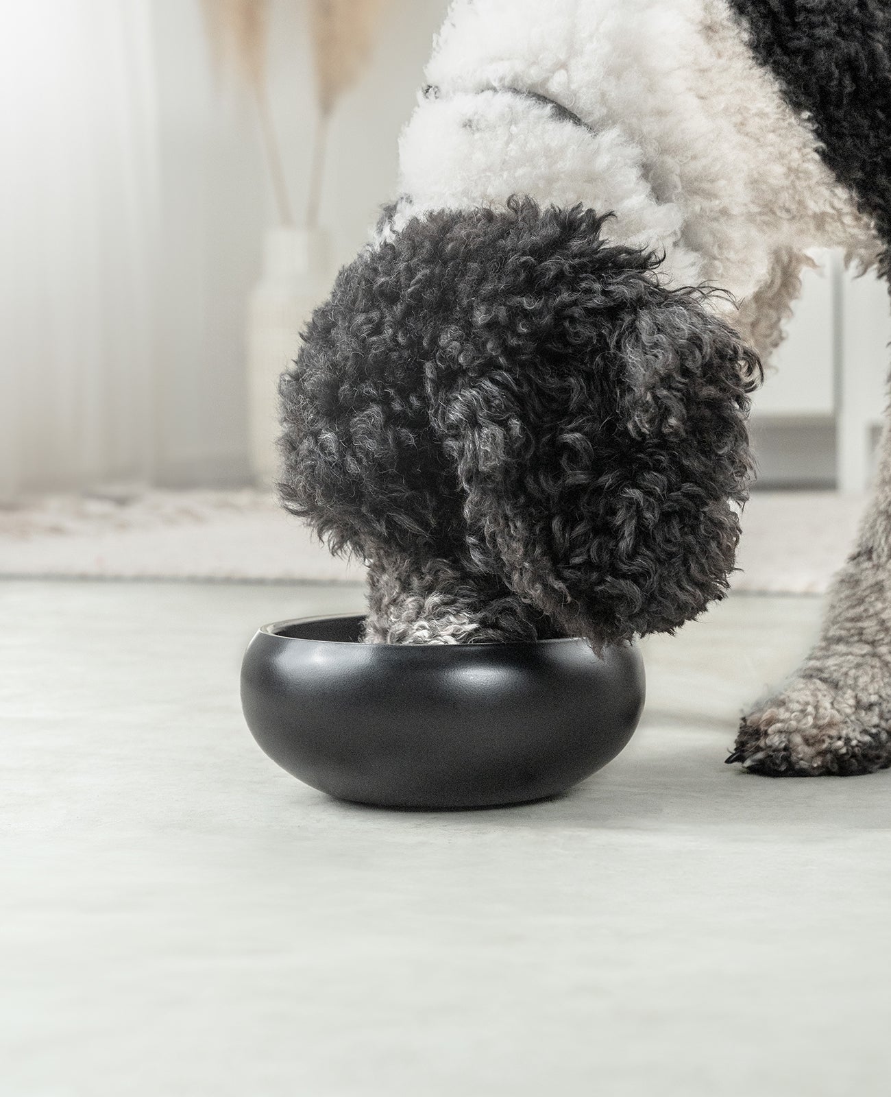 lionto Gamelle pour chien en acier inox, courbée, antidérapante, noir
