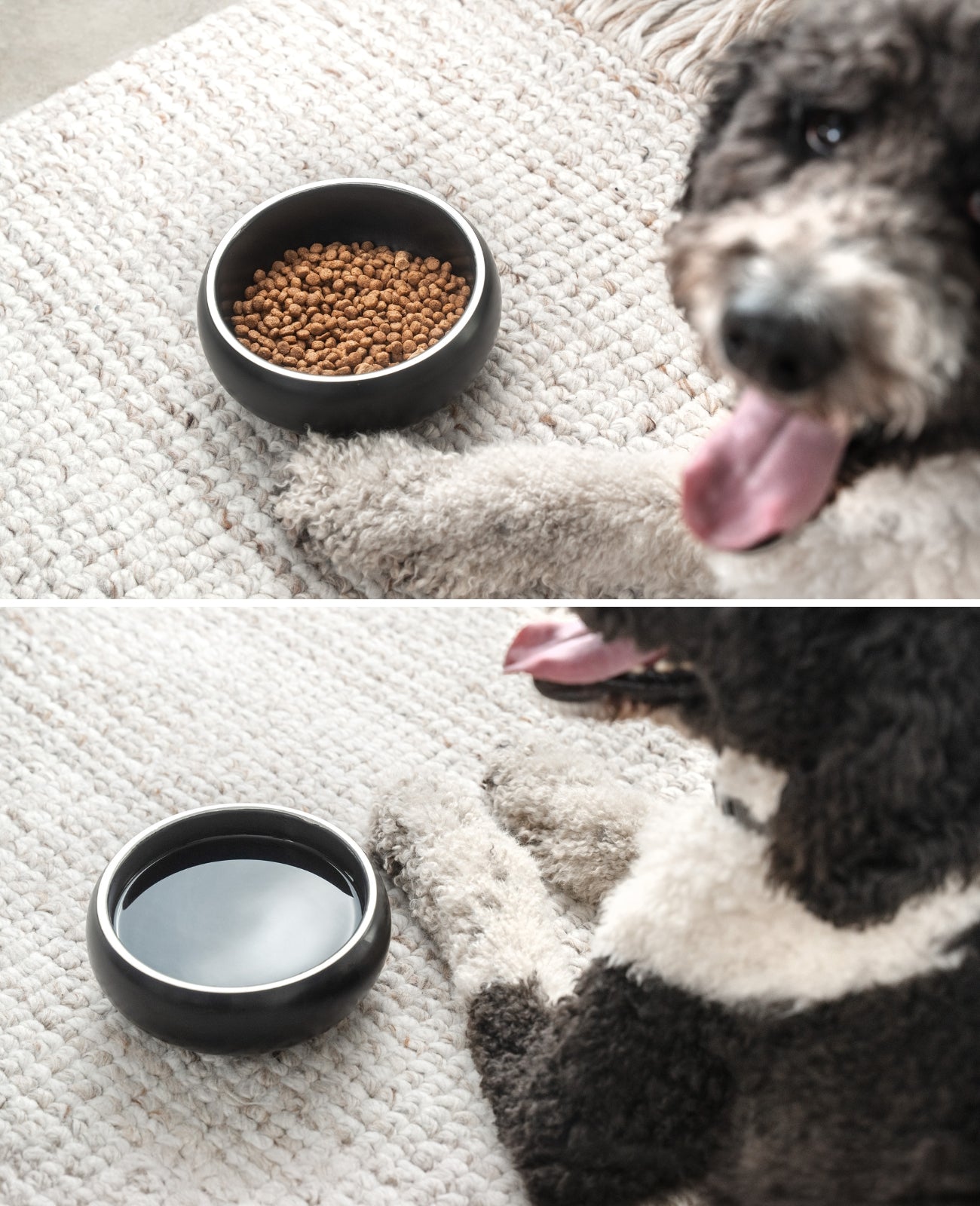lionto Gamelle pour chien en acier inox, courbée, antidérapante, noir
