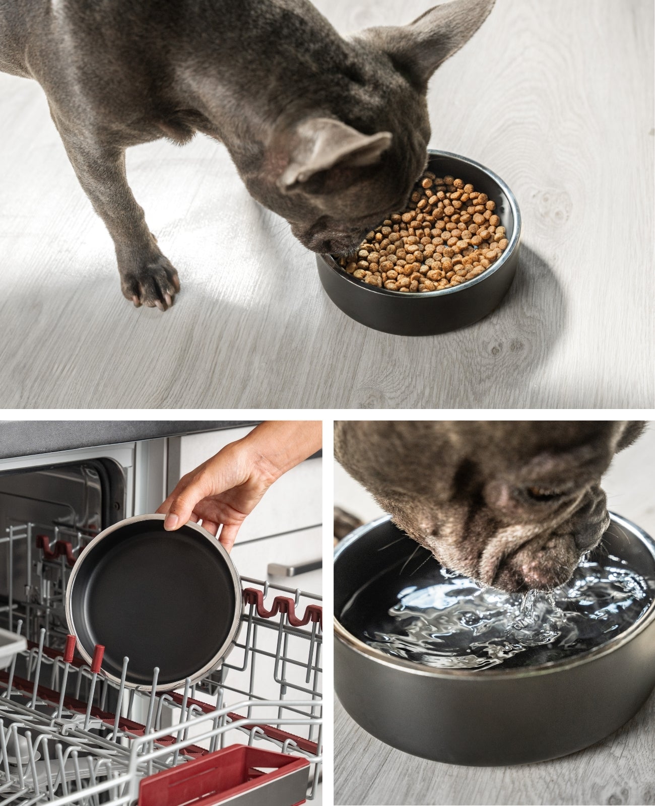 lionto Gamelle pour chien en acier inox, antidérapante & inoxydable, noir