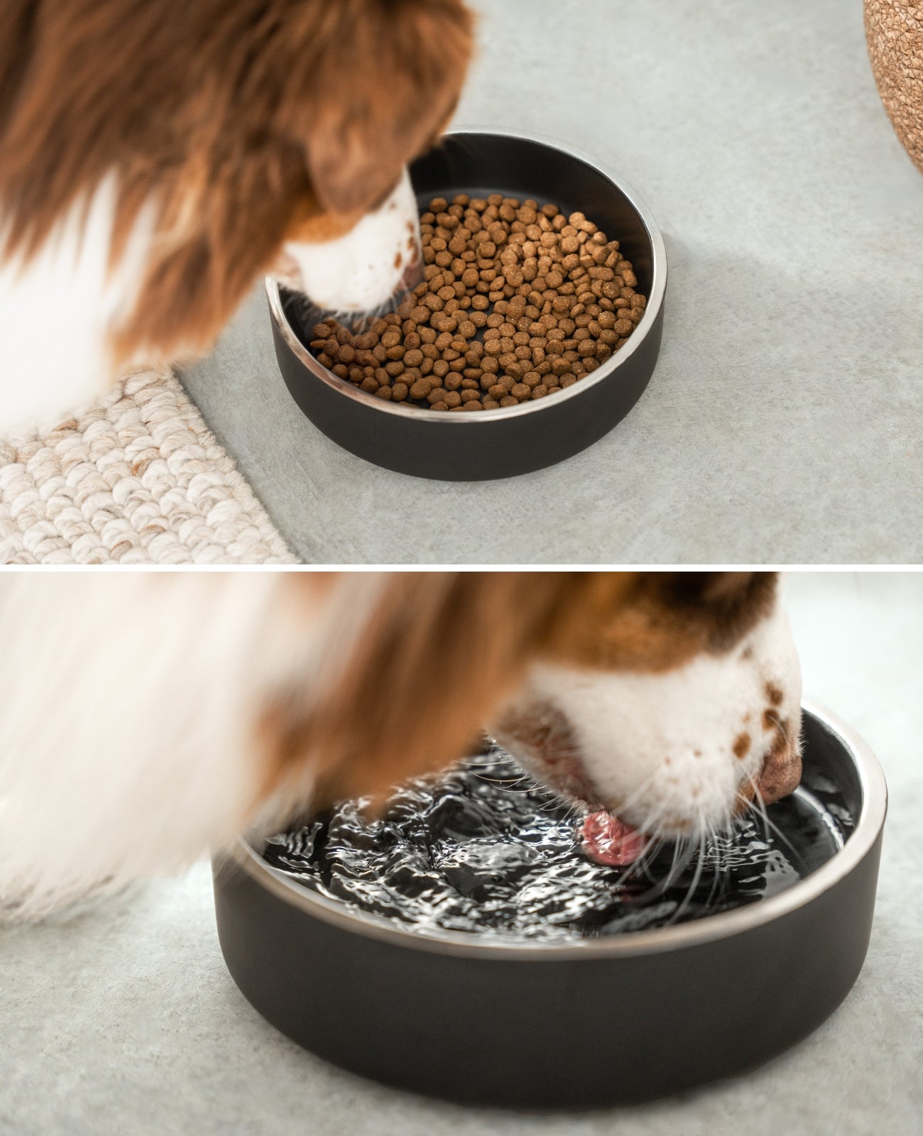 lionto Gamelle pour chien en acier inox, antidérapante & inoxydable, noir