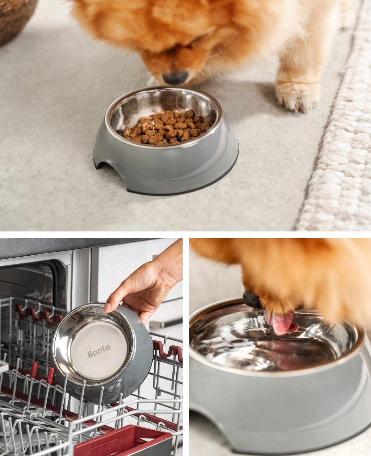 Gamelle pour chien en mélamine, différents modèles