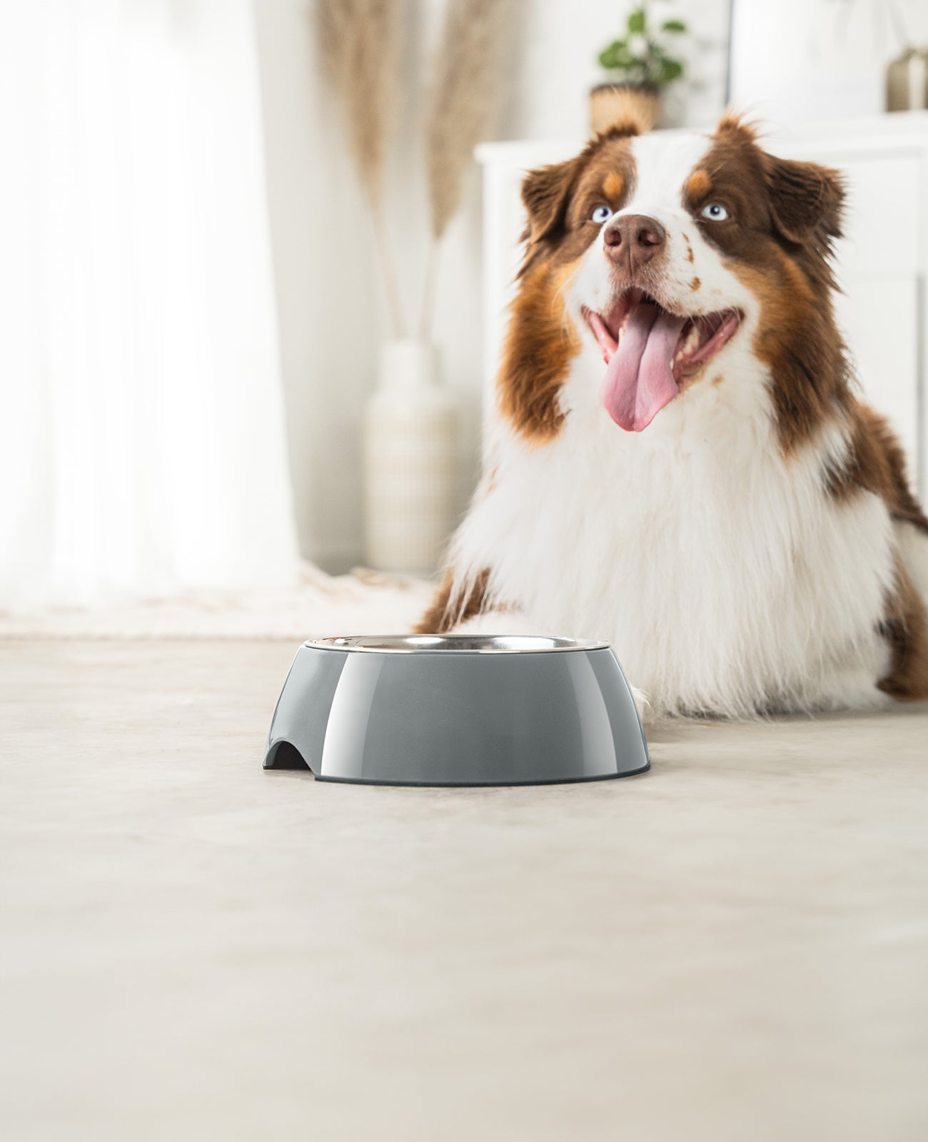 lionto Gamelle en mélamine, antidérapant, pour chien et chat, multiples versions