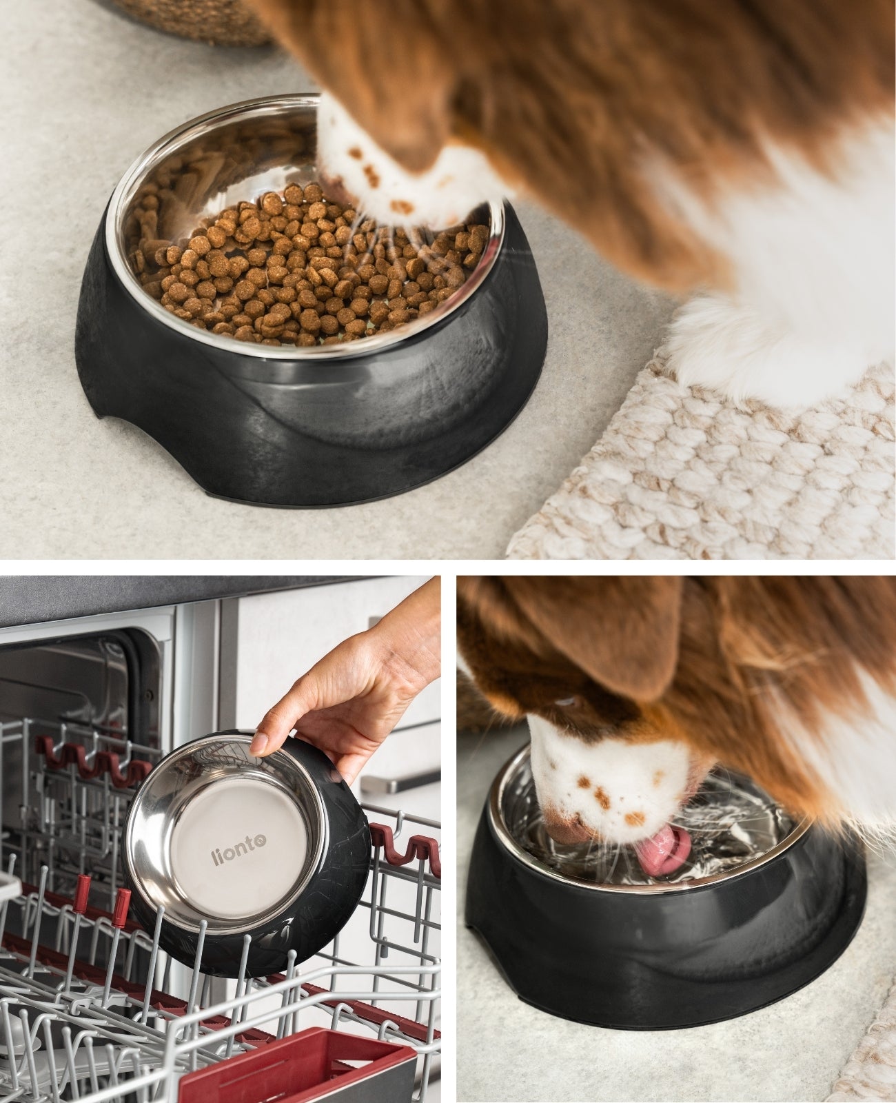 lionto Gamelle en mélamine, antidérapant, pour chien et chat, multiples versions