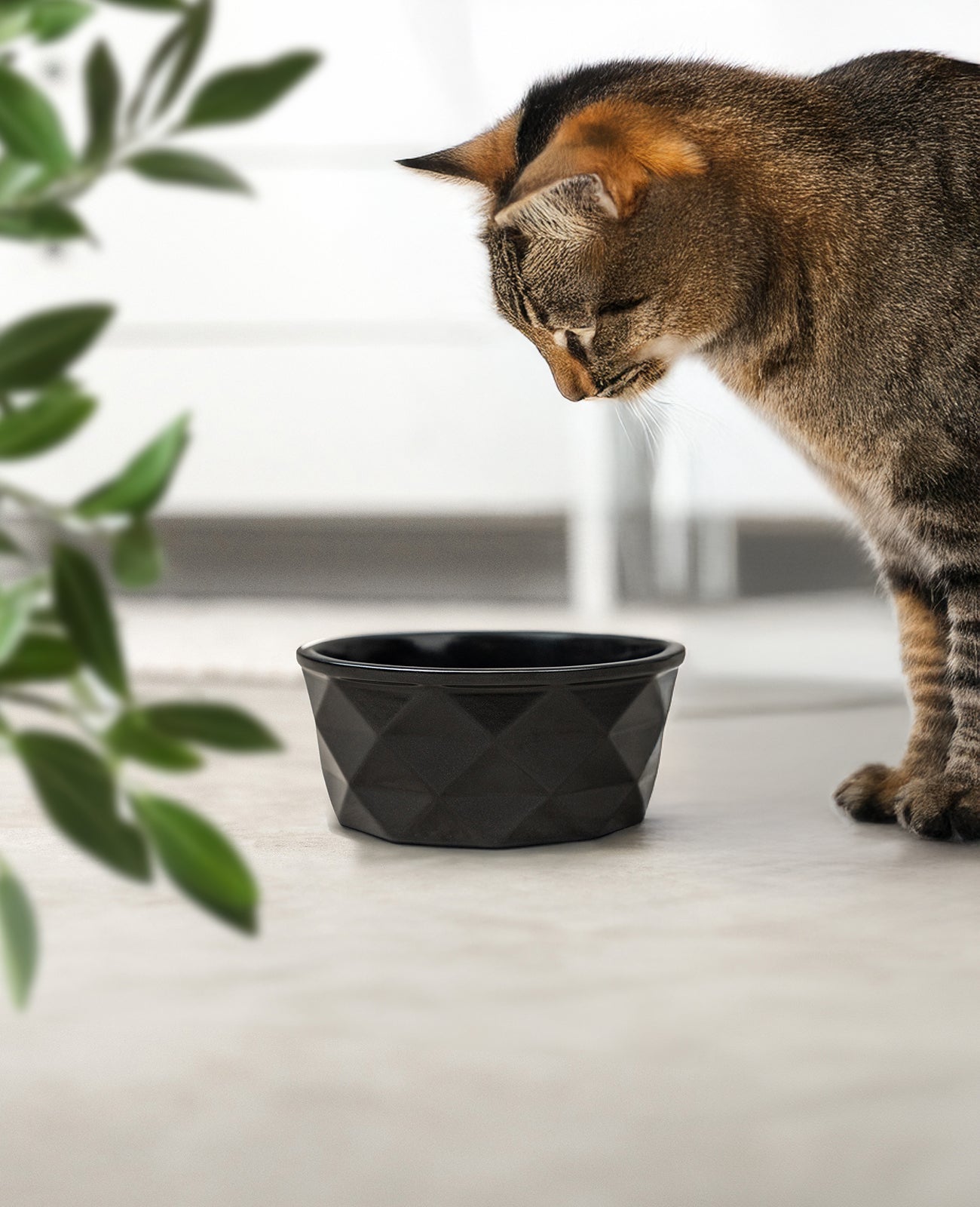 Katzennapf aus Keramik