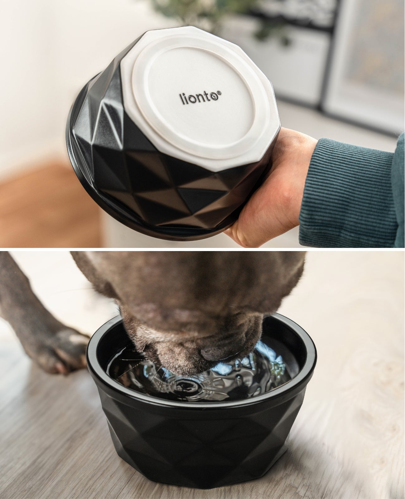 Gamelle en céramique pour chien