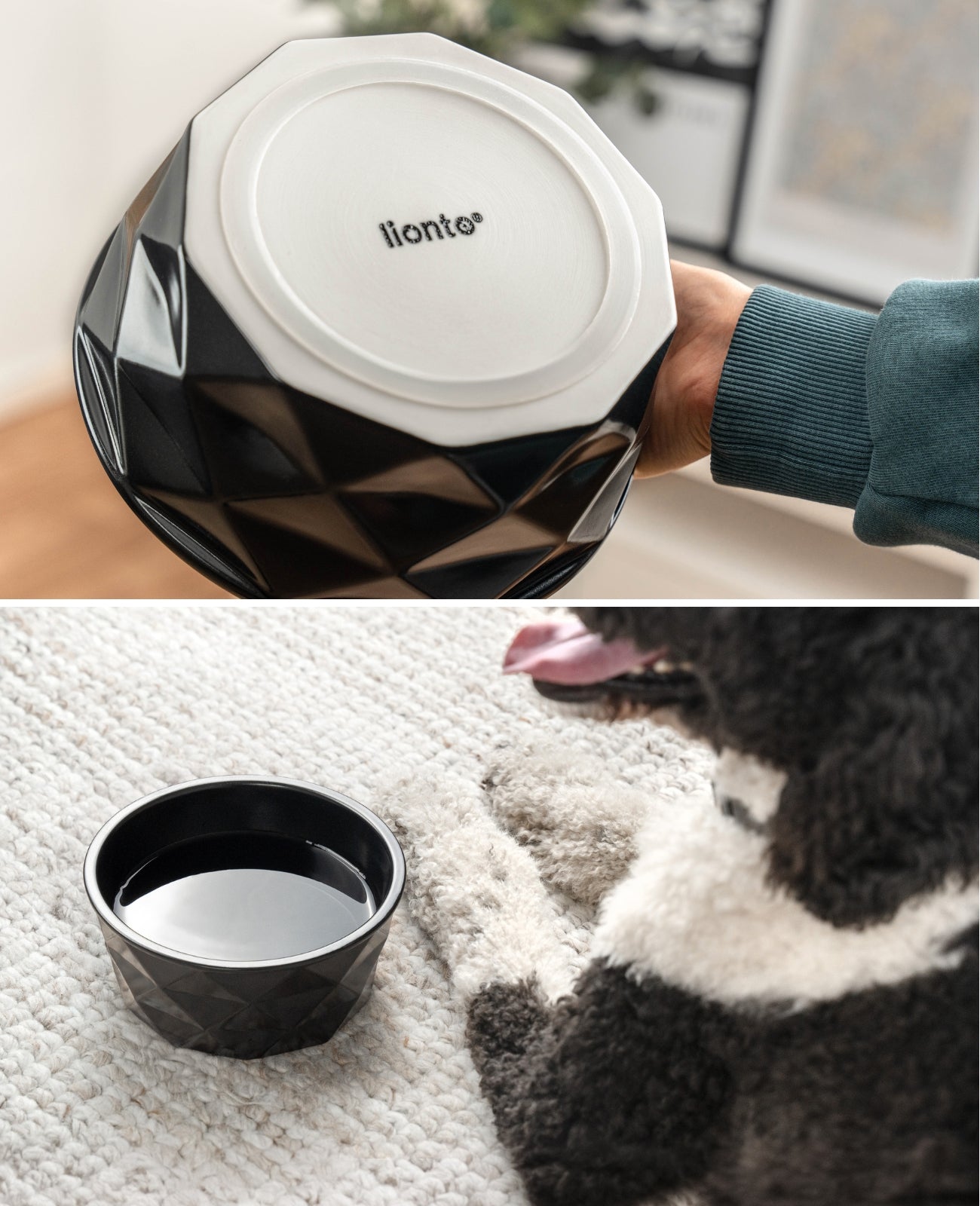 Gamelle en céramique pour chien