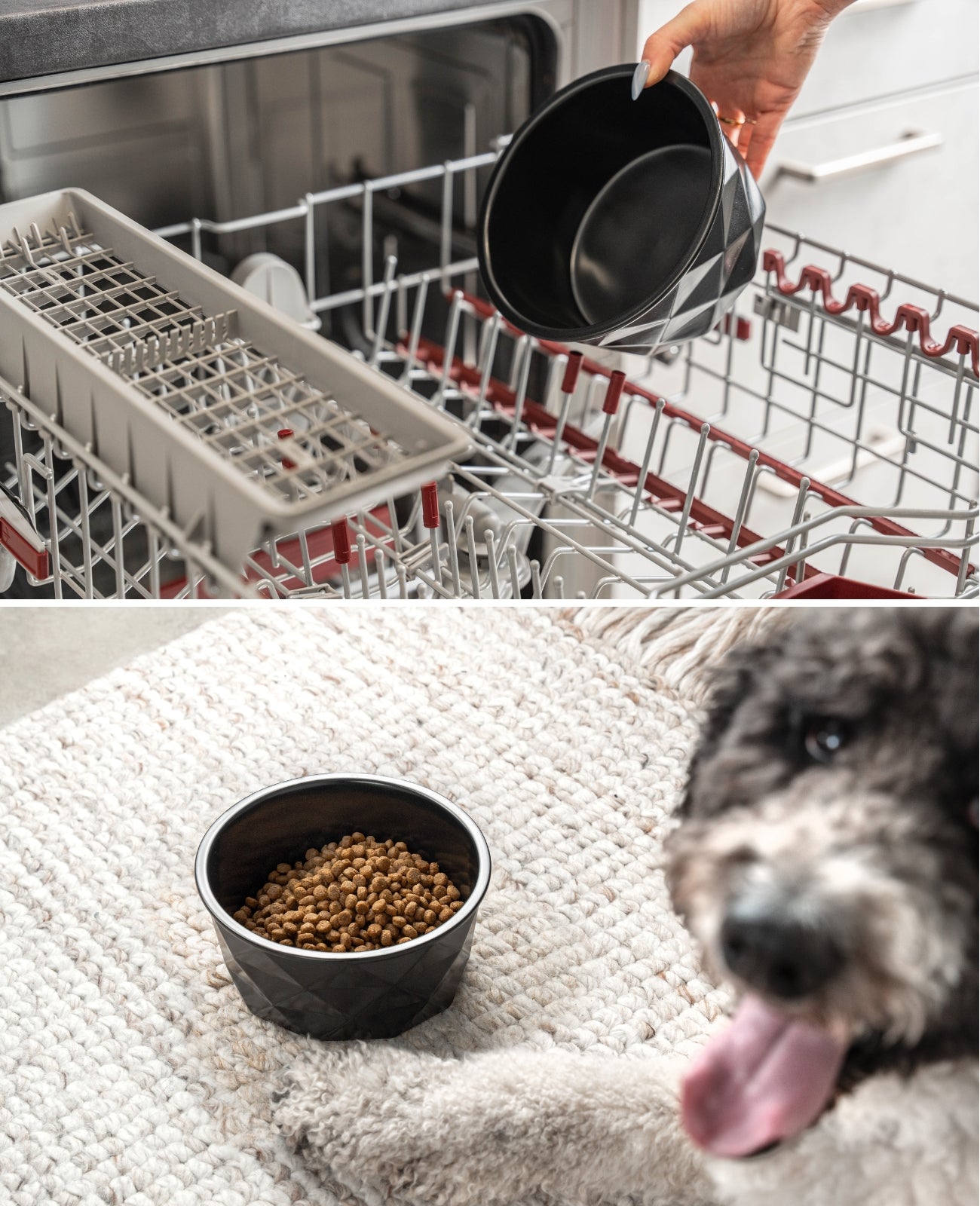 Gamelle en céramique pour chien