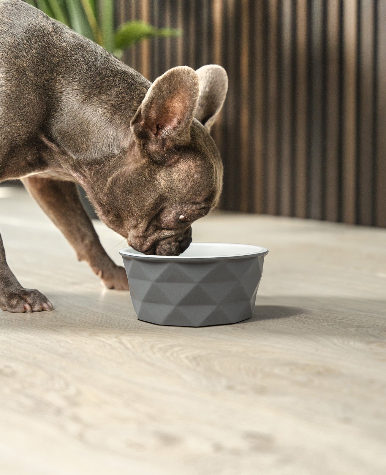 Gamelle en céramique pour chien