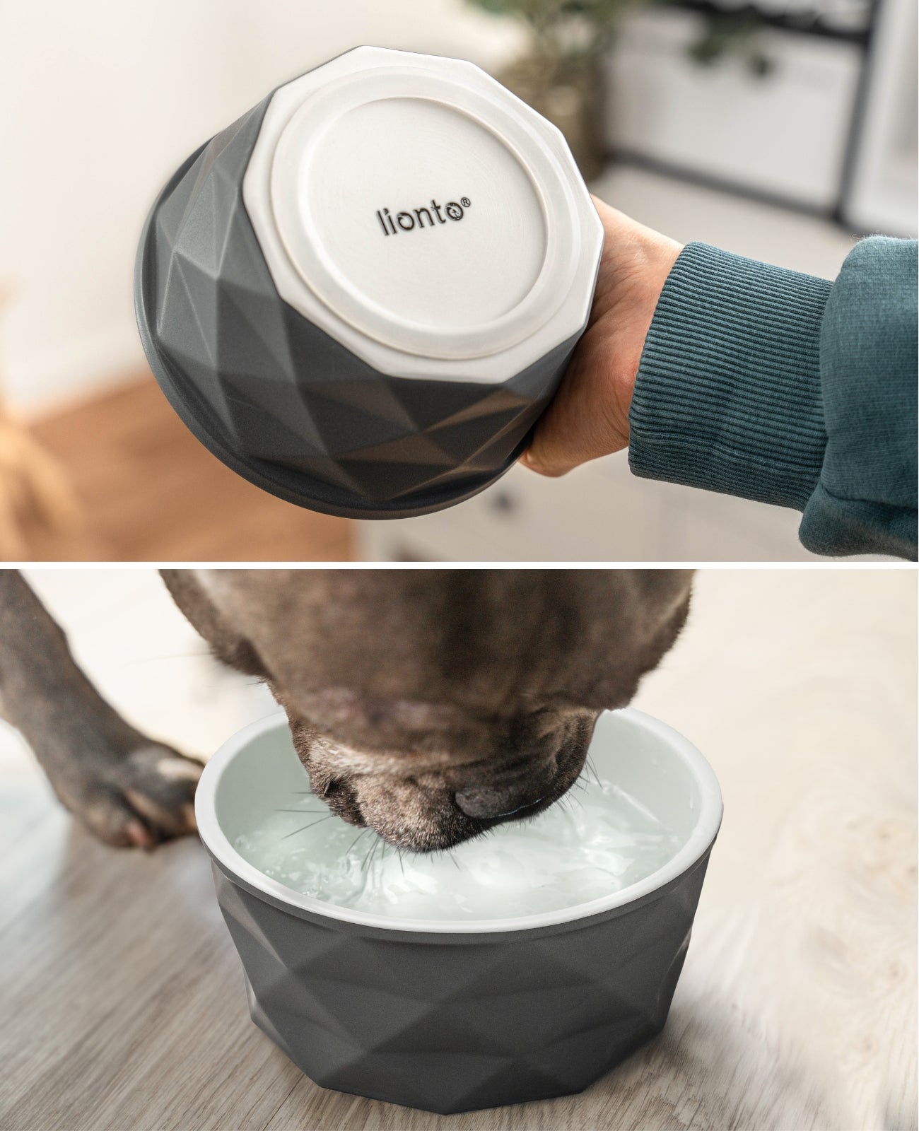 Gamelle en céramique pour chien