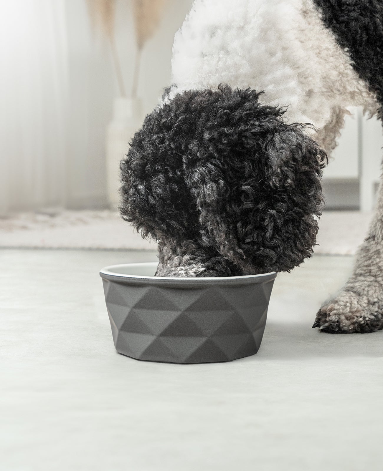 Gamelle en céramique pour chien