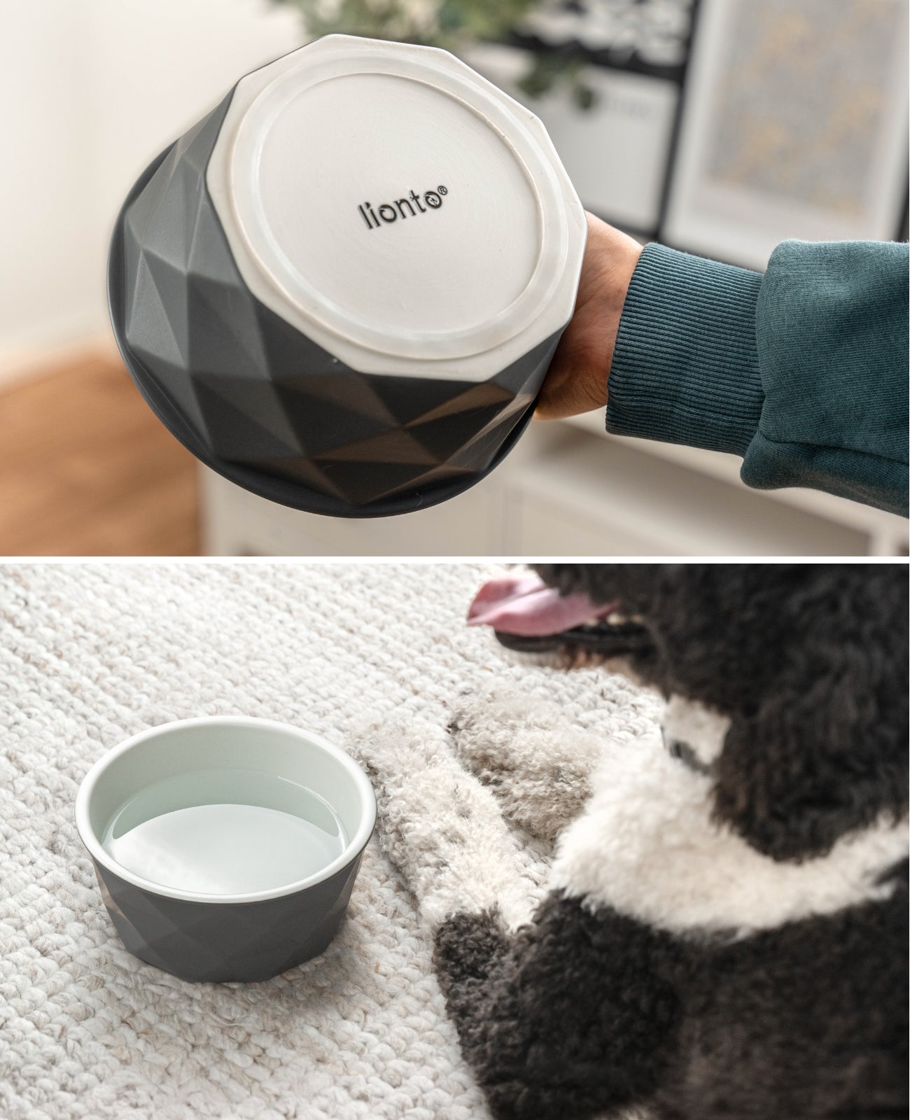 Gamelle en céramique pour chien