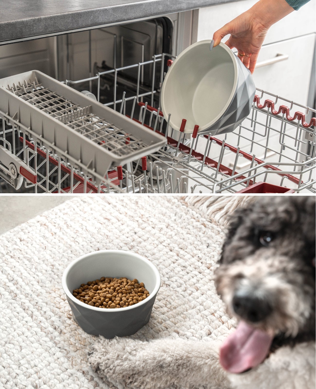 Gamelle en céramique pour chien