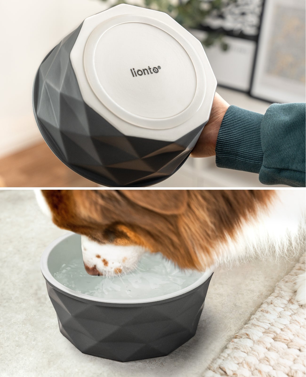 Gamelle en céramique pour chien