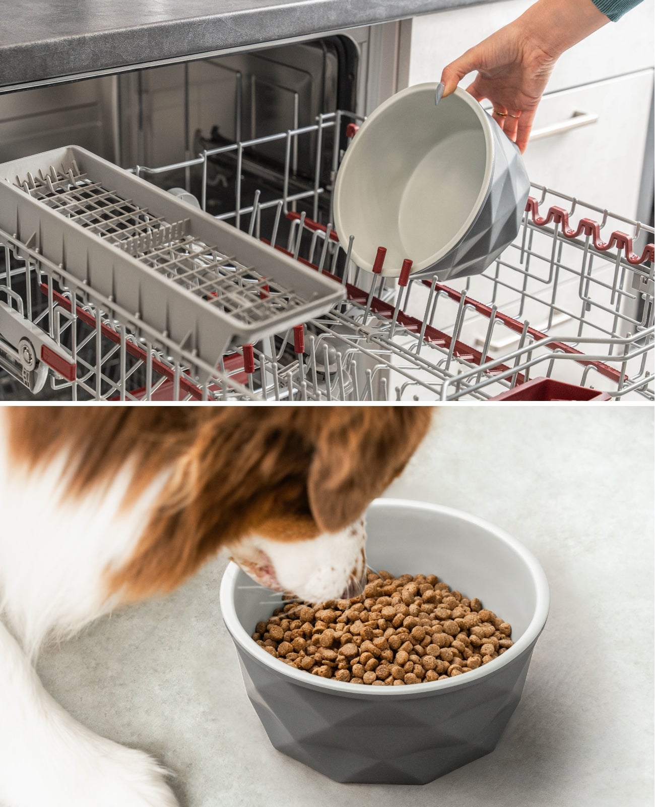 Gamelle en céramique pour chien