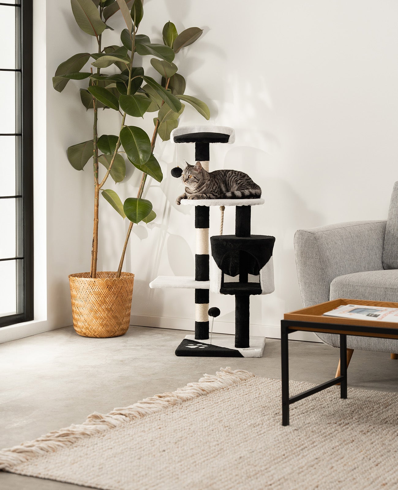 Kratzbaum Höhe 112 cm