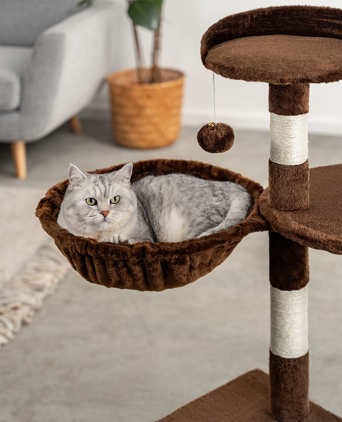 lionto Nid d'arbre à chat, 40 cm de diamètre, 15-25 cm de profondeur, différentes couleurs
