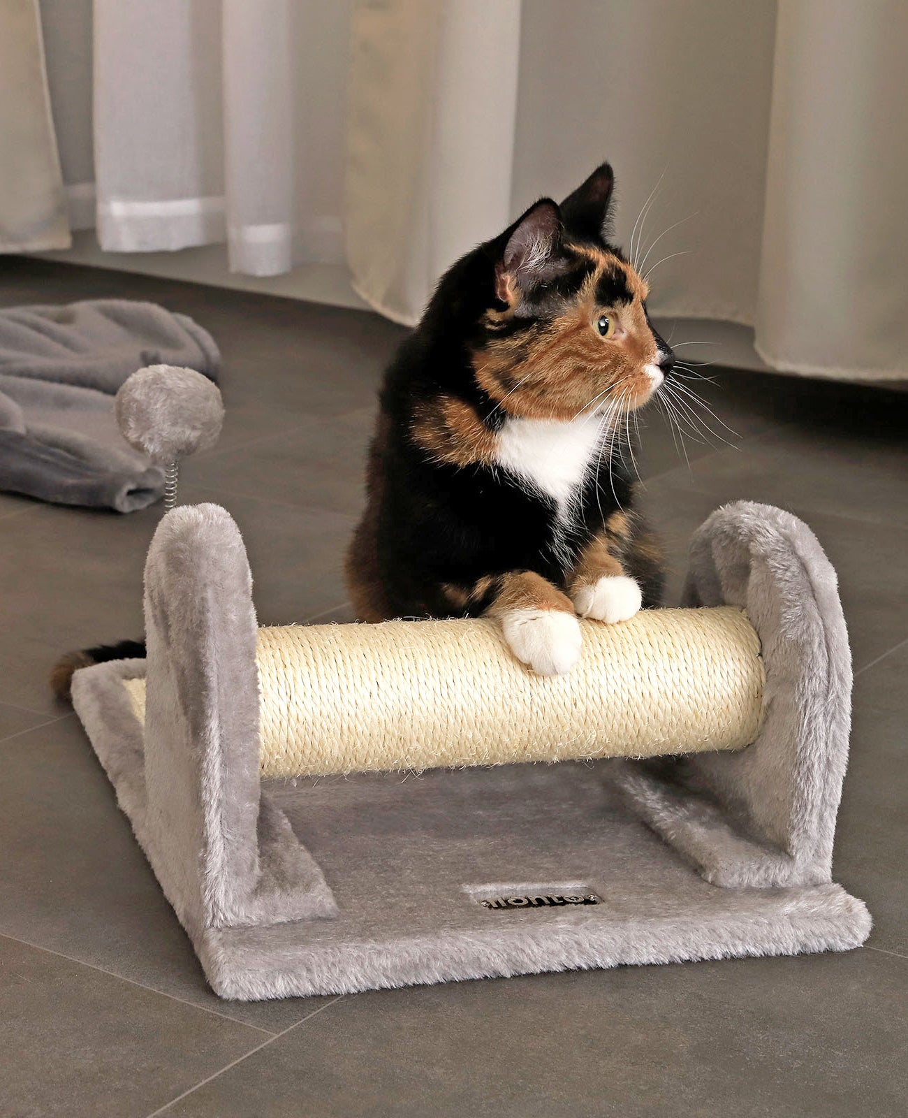 Planche à gratter avec peluche et balle de jeu