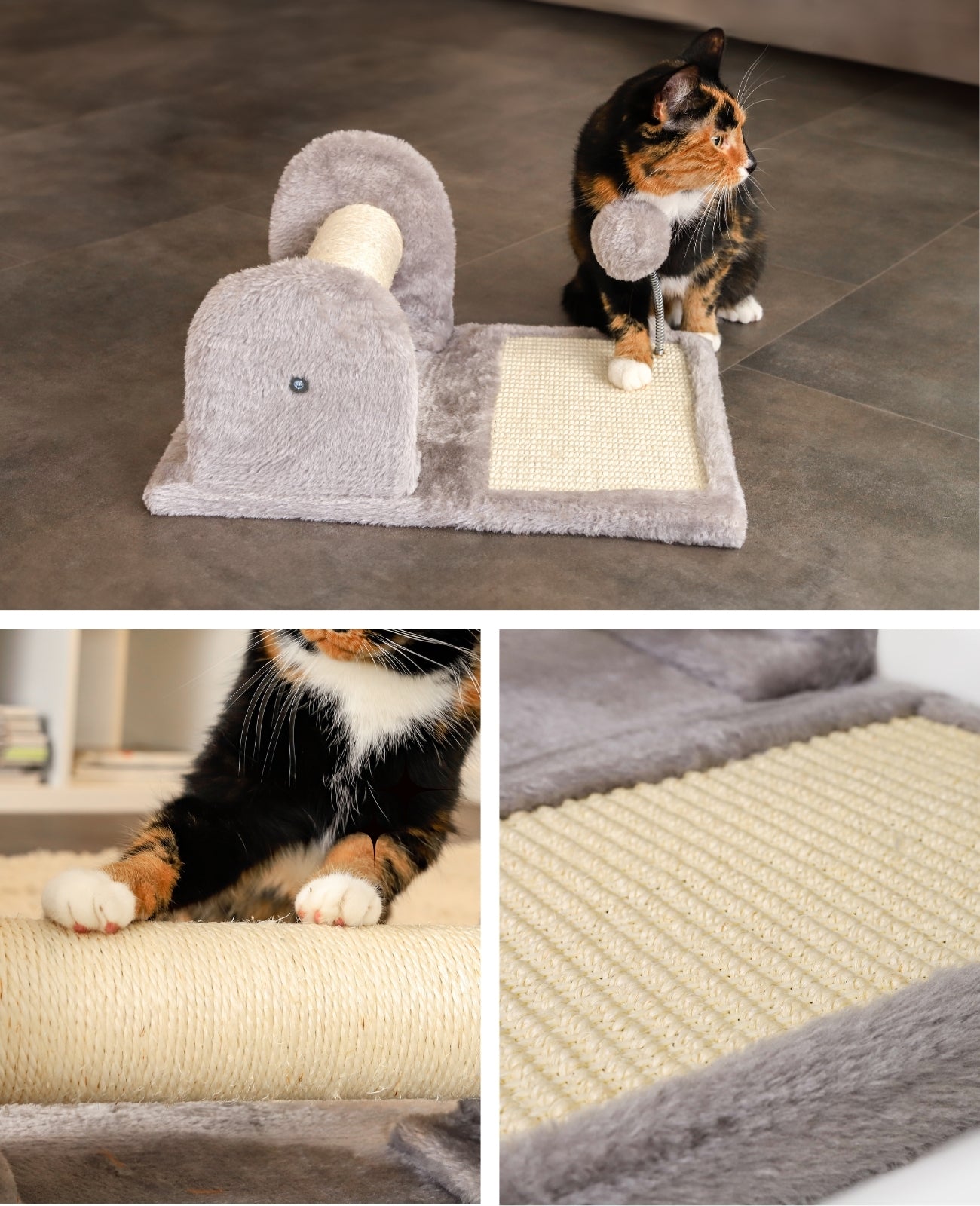 Planche à gratter avec peluche et balle de jeu