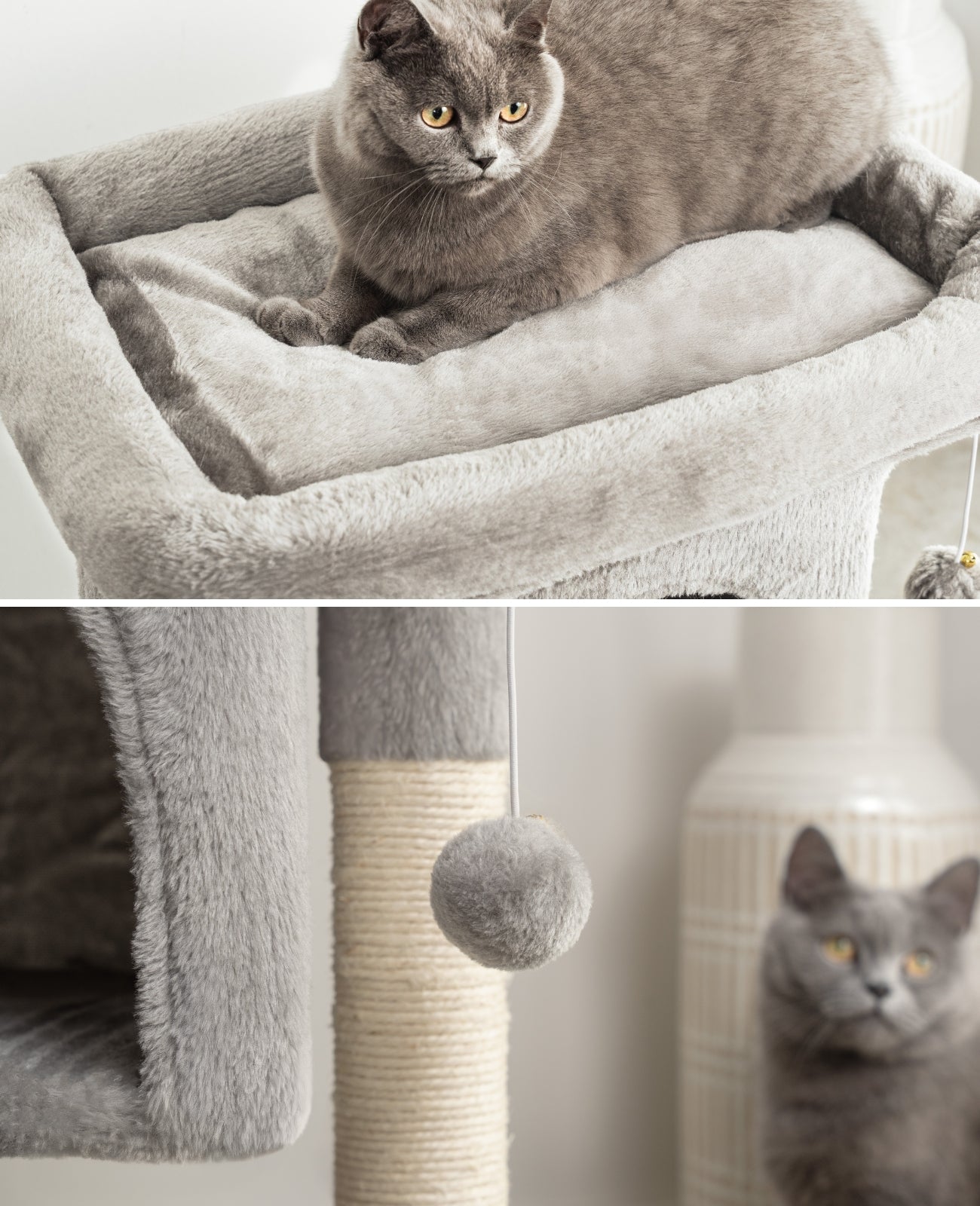 Arbre à chat, arbre à grimper, griffoir pour chat, H 60 cm, couleur au choix