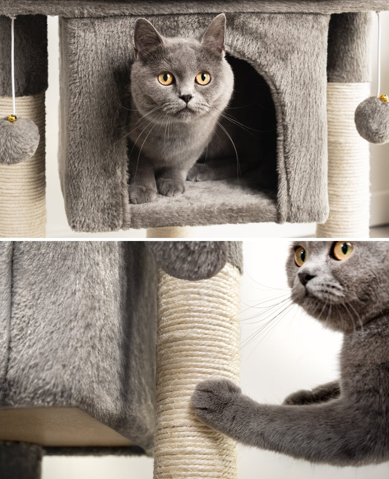Arbre à chat, arbre à grimper, griffoir pour chat, H 60 cm, couleur au choix