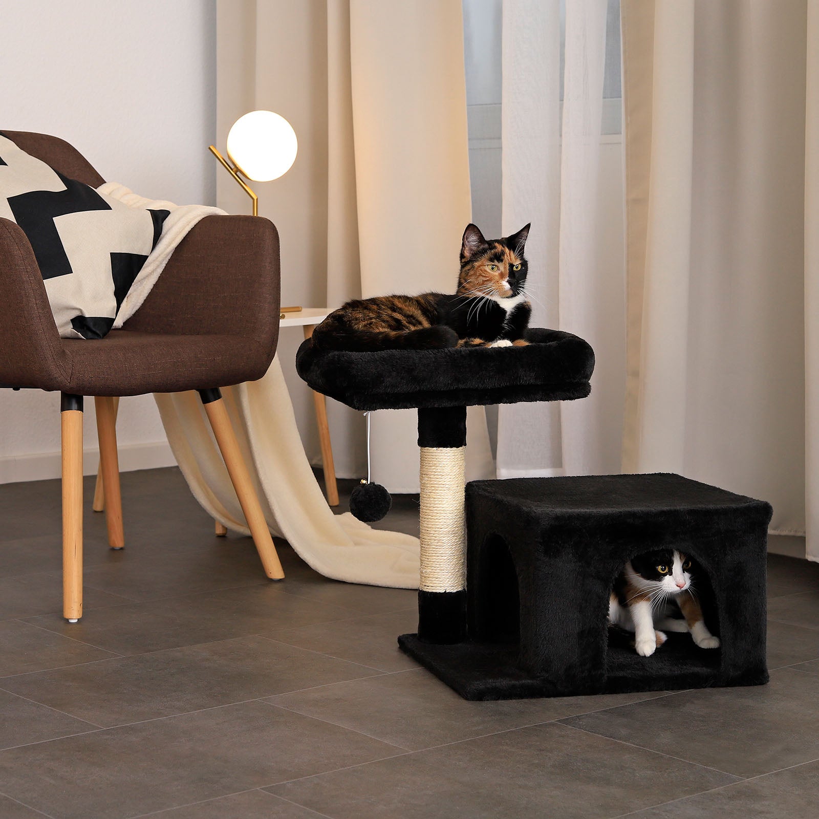 Arbre à chat hauteur 50 cm