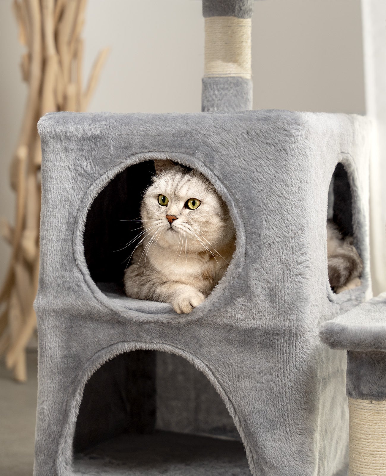 Arbre à chat hauteur 80 cm