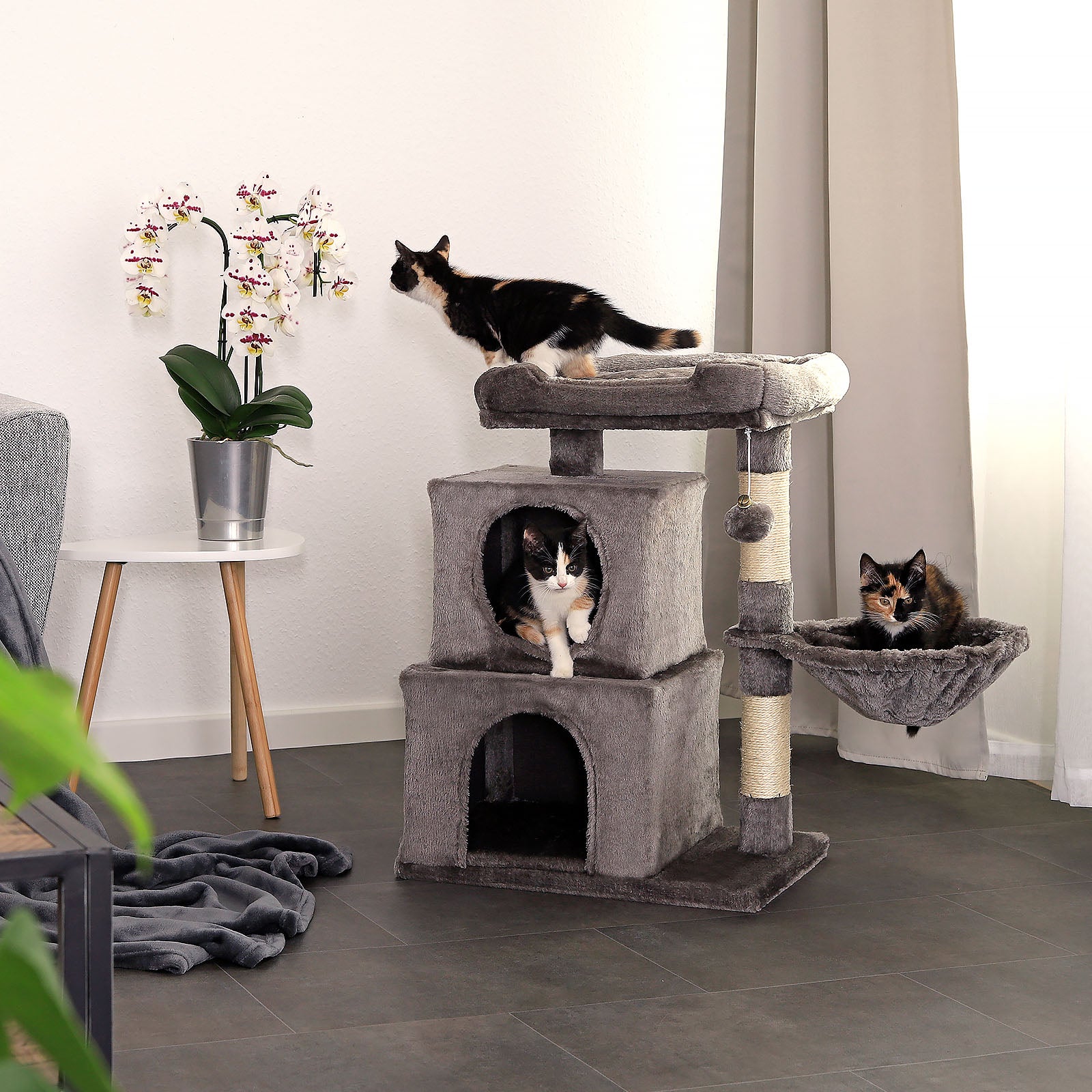 Arbre à chat hauteur 70 cm