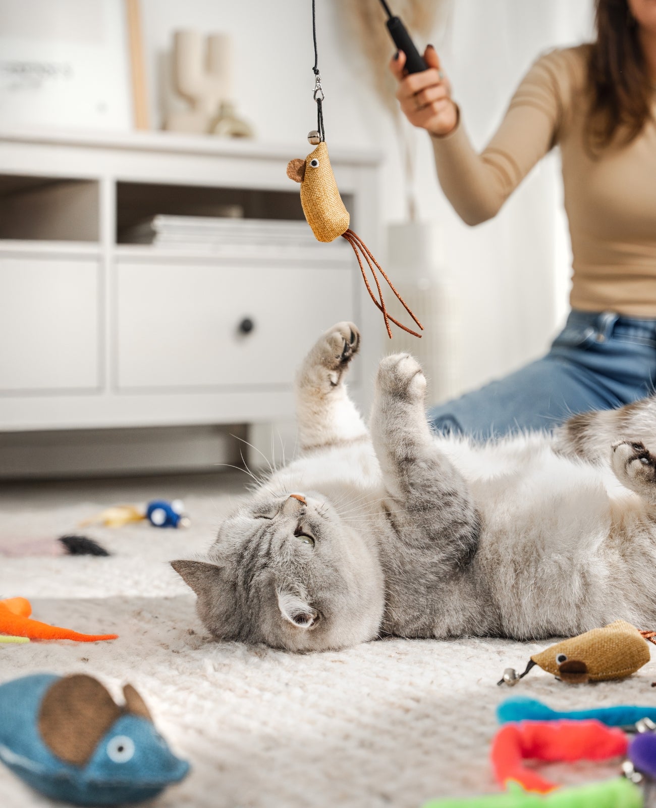 lionto Jouet pour chat, 14 pièces, avec canne télescopique et poignée rembourrée