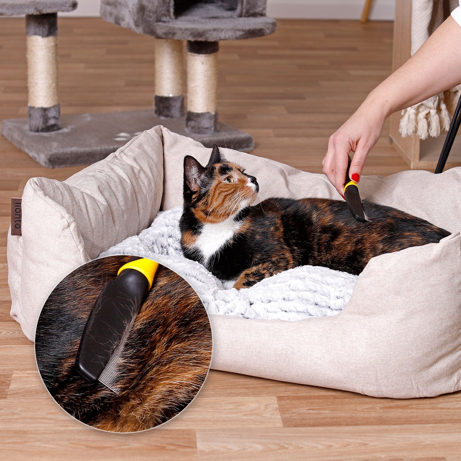 Brosses pour chat pour le toilettage
